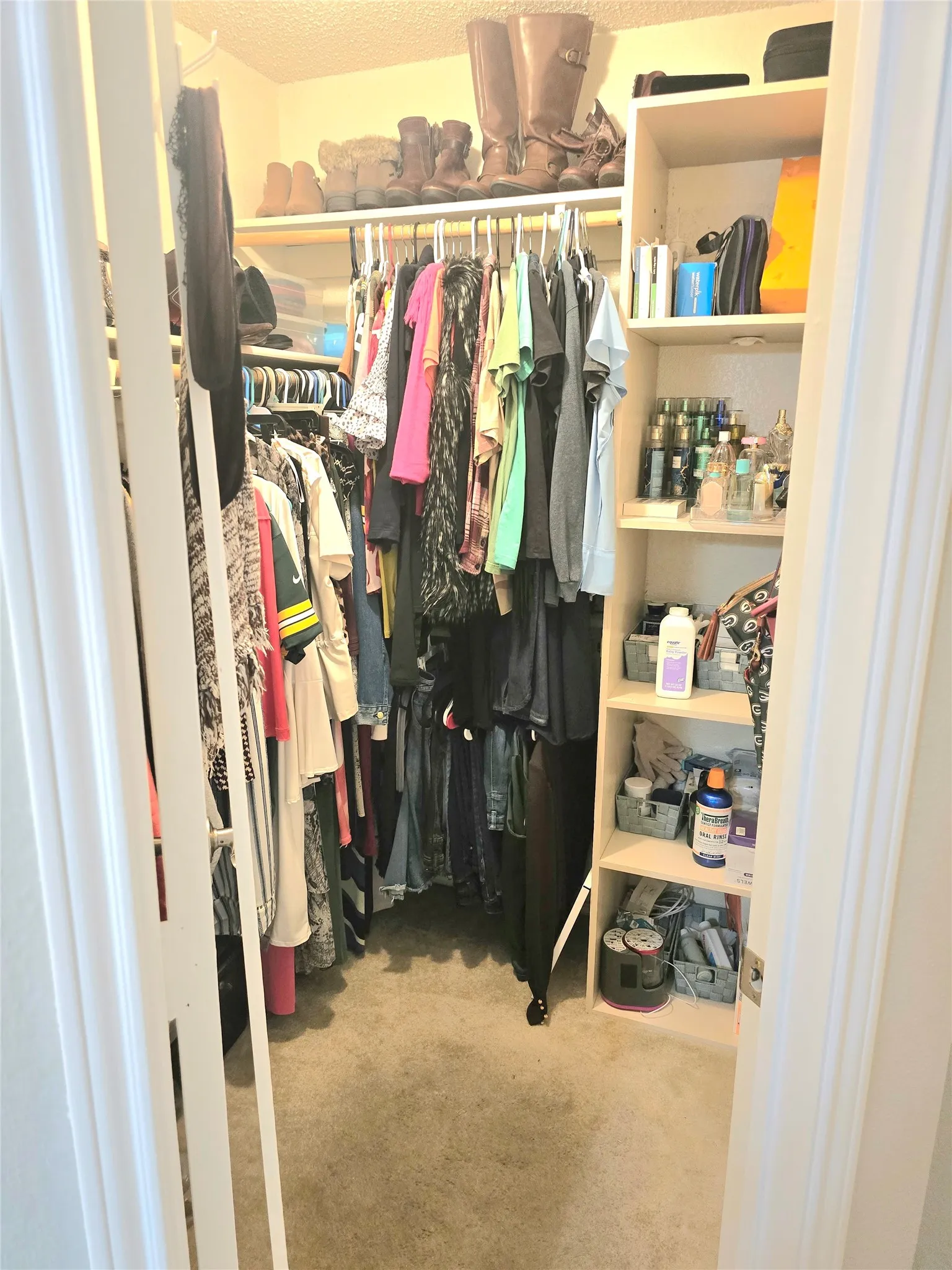 Walk-in closet featuring carpet flooring, built-in shelving, and hanging rods