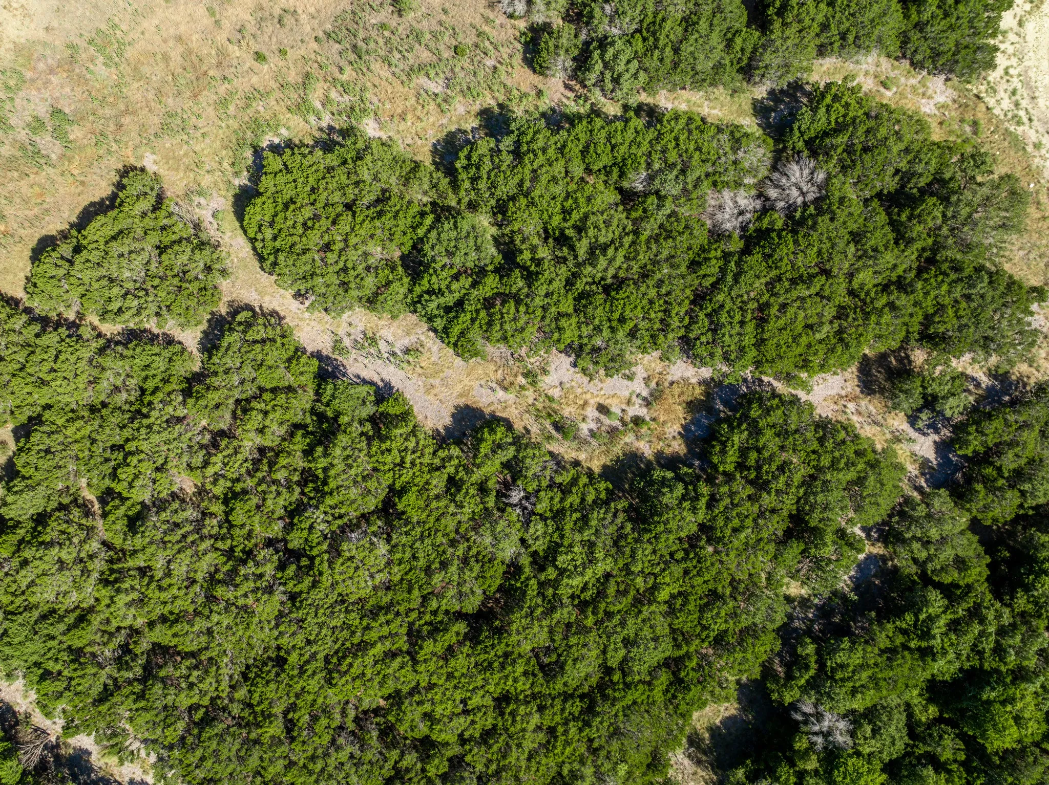 Unimproved Land For Sale in Coryell County , 161 Dove Circle, Jonesboro, Texas 76538, 0, 0, Garage spaces, 0 Sqft, built in 0, mls#21363694, Real Estate Agent in Jonesboro, Homes For Sale in Coryell county, Homes For Sale in Jonesboro, Realtor in Jonesboro Texas, Real Estate Brokerage Independent Realty Texas, Luminita Cordes Realtor