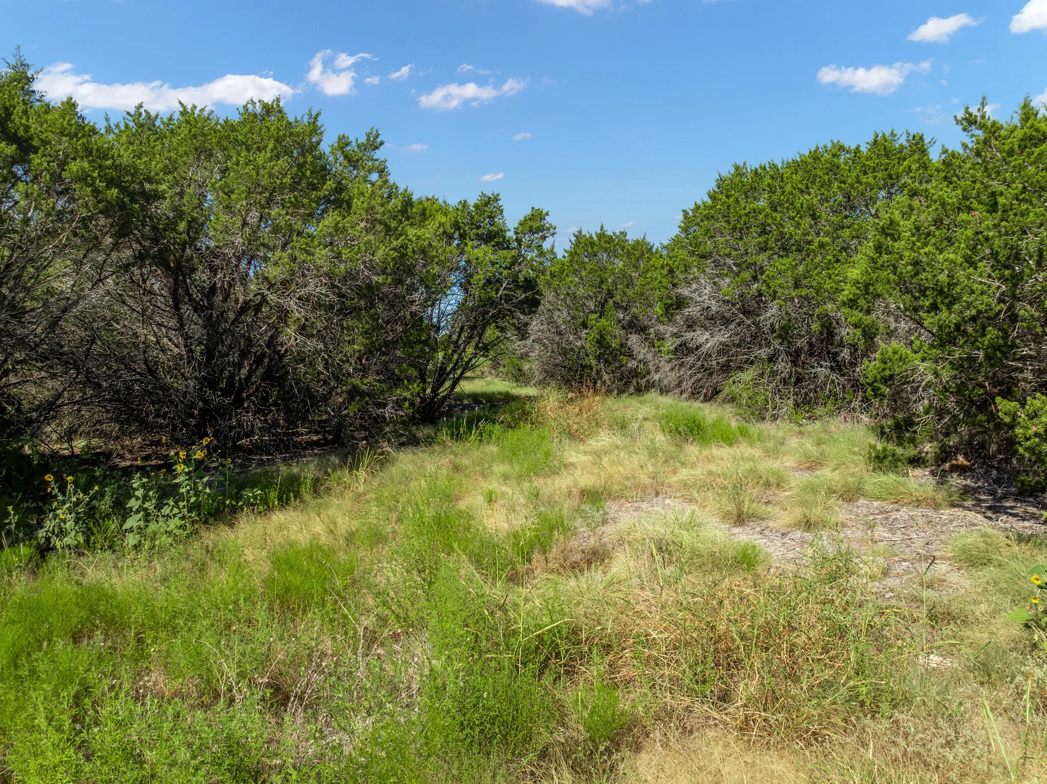 Unimproved Land For Sale in Coryell County , 161 Dove Circle, Jonesboro, Texas 76538, 0, 0, Garage spaces, 0 Sqft, built in 0, mls#21363694, Real Estate Agent in Jonesboro, Homes For Sale in Coryell county, Homes For Sale in Jonesboro, Realtor in Jonesboro Texas, Real Estate Brokerage Independent Realty Texas, Luminita Cordes Realtor