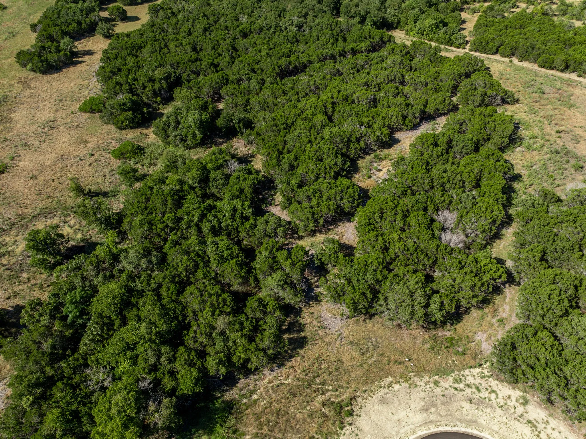 Unimproved Land For Sale in Coryell County , 161 Dove Circle, Jonesboro, Texas 76538, 0, 0, Garage spaces, 0 Sqft, built in 0, mls#21363694, Real Estate Agent in Jonesboro, Homes For Sale in Coryell county, Homes For Sale in Jonesboro, Realtor in Jonesboro Texas, Real Estate Brokerage Independent Realty Texas, Luminita Cordes Realtor