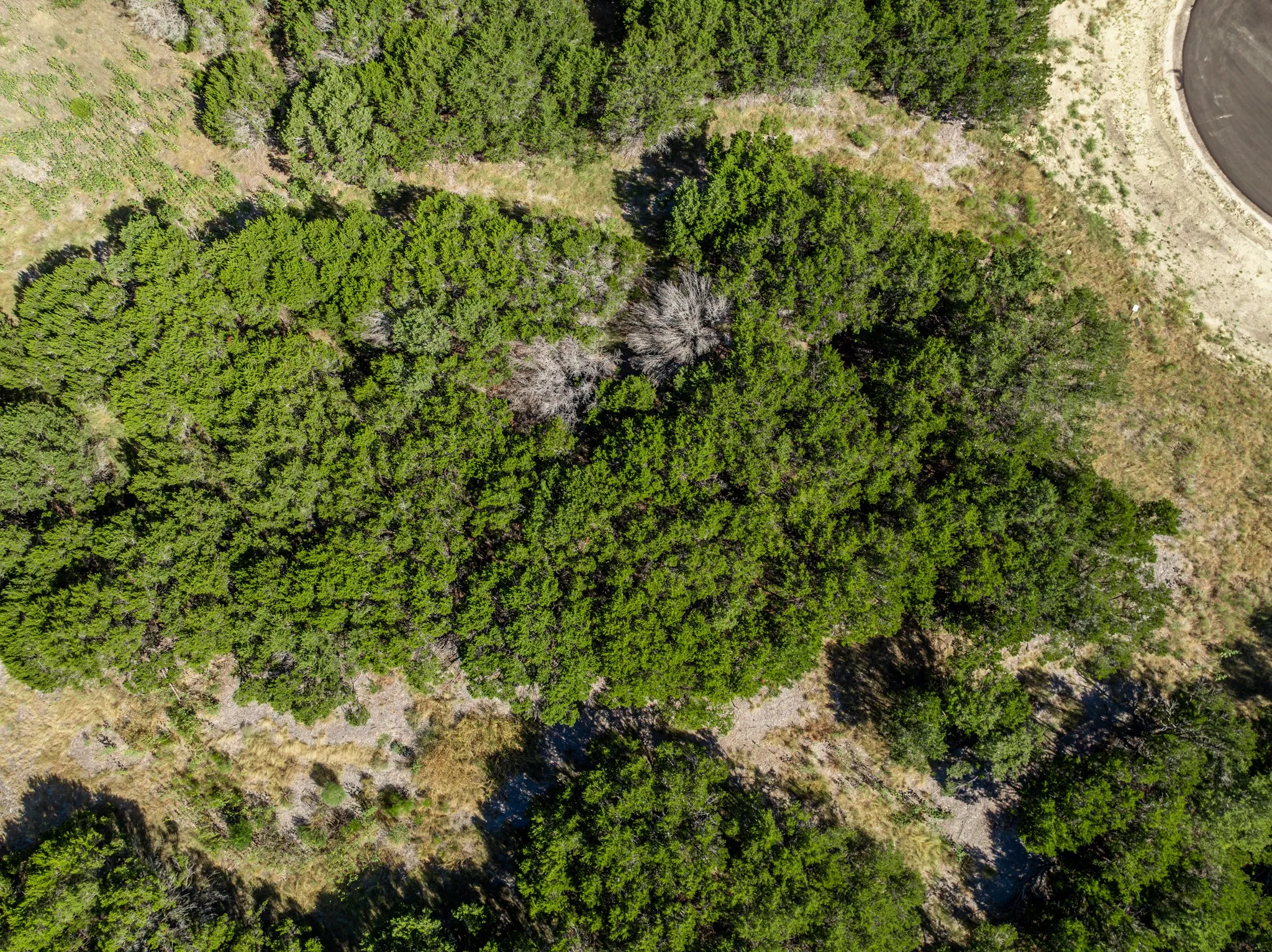 Unimproved Land For Sale in Coryell County , 161 Dove Circle, Jonesboro, Texas 76538, 0, 0, Garage spaces, 0 Sqft, built in 0, mls#21363694, Real Estate Agent in Jonesboro, Homes For Sale in Coryell county, Homes For Sale in Jonesboro, Realtor in Jonesboro Texas, Real Estate Brokerage Independent Realty Texas, Luminita Cordes Realtor