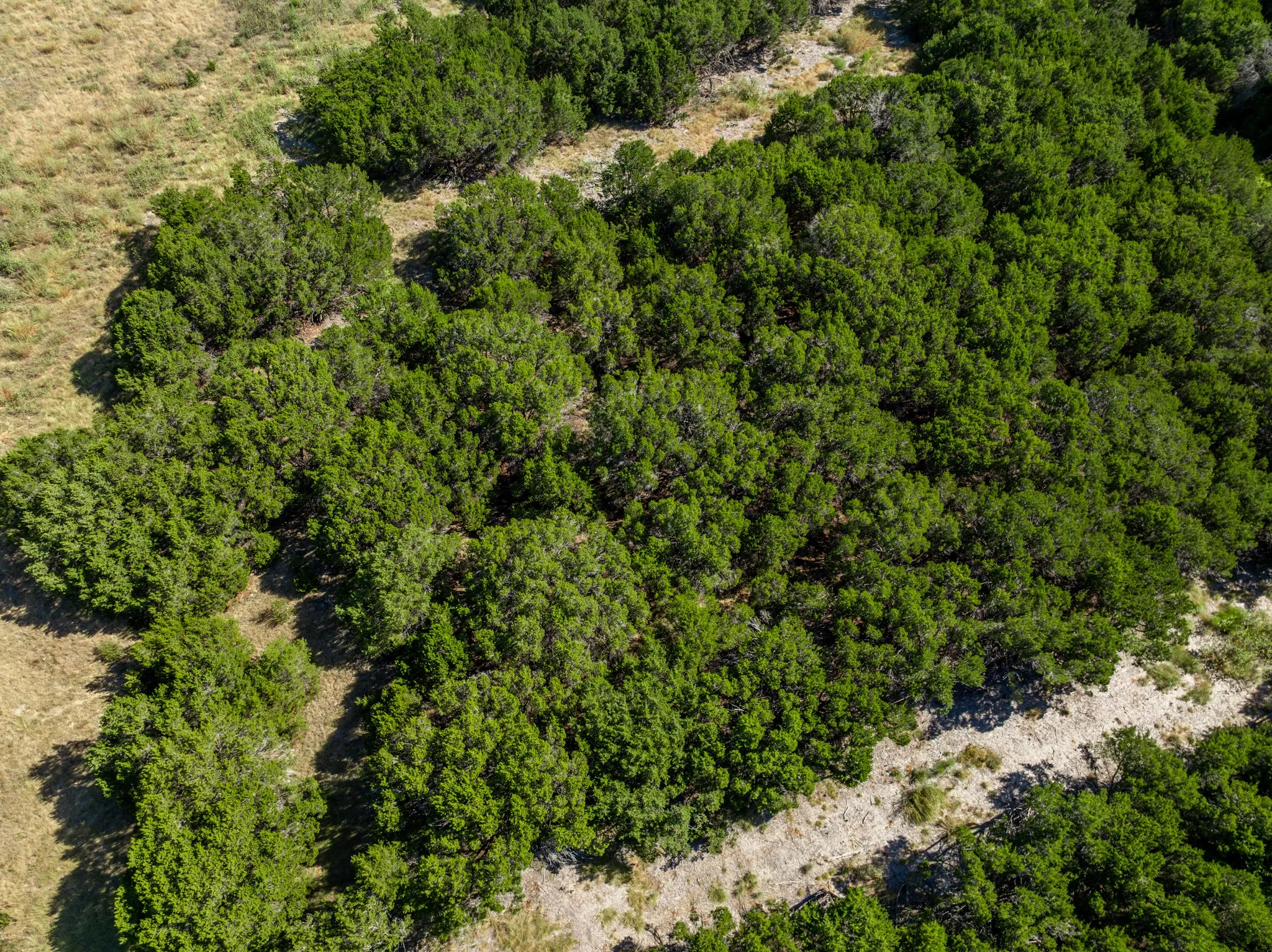 Unimproved Land For Sale in Coryell County , 161 Dove Circle, Jonesboro, Texas 76538, 0, 0, Garage spaces, 0 Sqft, built in 0, mls#21363694, Real Estate Agent in Jonesboro, Homes For Sale in Coryell county, Homes For Sale in Jonesboro, Realtor in Jonesboro Texas, Real Estate Brokerage Independent Realty Texas, Luminita Cordes Realtor