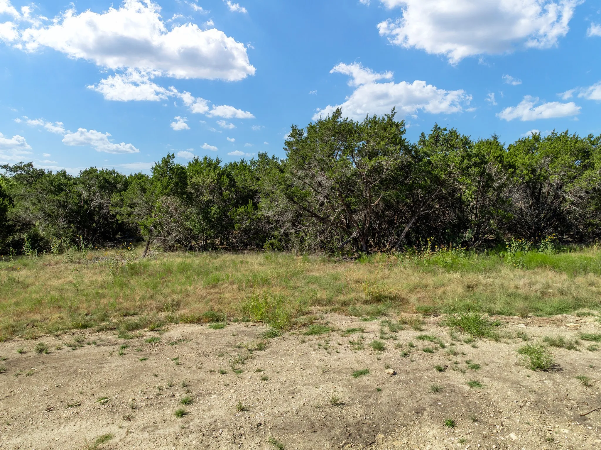 Unimproved Land For Sale in Coryell County , 161 Dove Circle, Jonesboro, Texas 76538, 0, 0, Garage spaces, 0 Sqft, built in 0, mls#21363694, Real Estate Agent in Jonesboro, Homes For Sale in Coryell county, Homes For Sale in Jonesboro, Realtor in Jonesboro Texas, Real Estate Brokerage Independent Realty Texas, Luminita Cordes Realtor