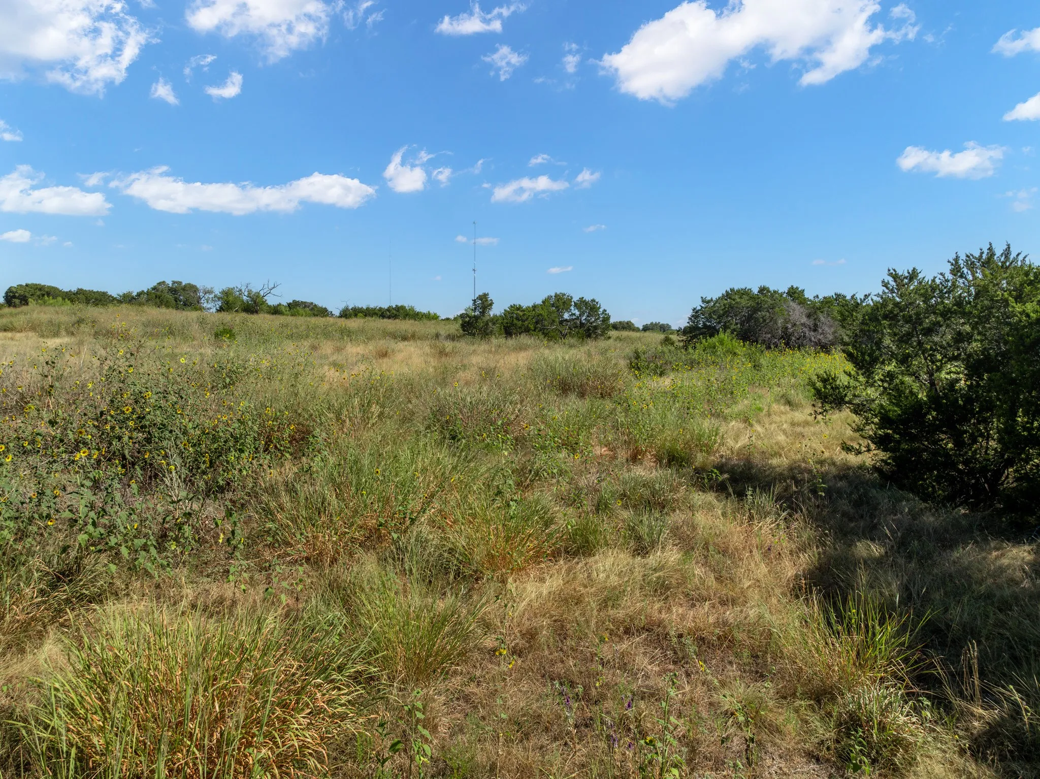 Unimproved Land For Sale in Coryell County , 161 Dove Circle, Jonesboro, Texas 76538, 0, 0, Garage spaces, 0 Sqft, built in 0, mls#21363694, Real Estate Agent in Jonesboro, Homes For Sale in Coryell county, Homes For Sale in Jonesboro, Realtor in Jonesboro Texas, Real Estate Brokerage Independent Realty Texas, Luminita Cordes Realtor