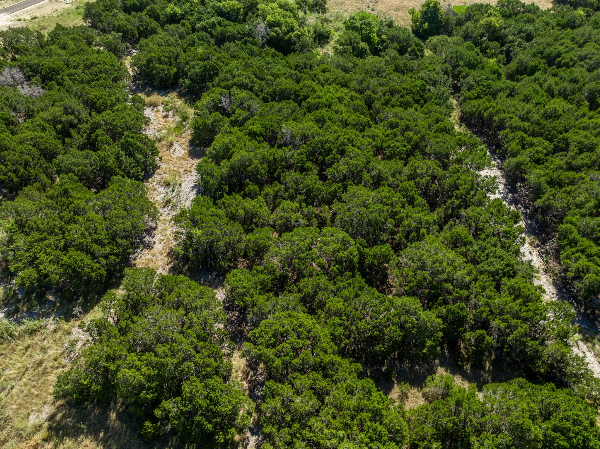 Unimproved Land For Sale in Coryell County , 161 Dove Circle, Jonesboro, Texas 76538, 0, 0, Garage spaces, 0 Sqft, built in 0, mls#21363694, Real Estate Agent in Jonesboro, Homes For Sale in Coryell county, Homes For Sale in Jonesboro, Realtor in Jonesboro Texas, Real Estate Brokerage Independent Realty Texas, Luminita Cordes Realtor