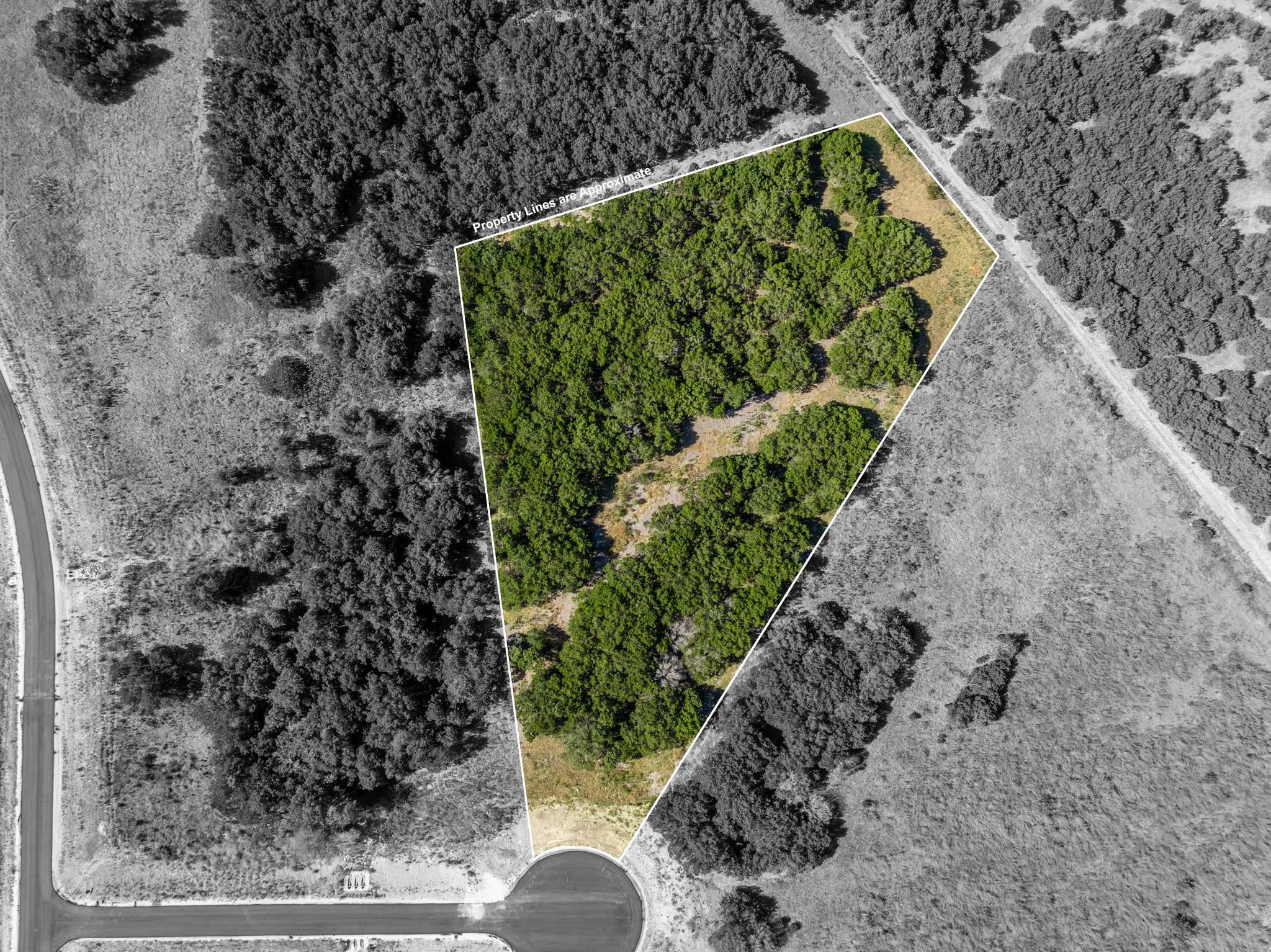 Unimproved Land For Sale in Coryell County , 161 Dove Circle, Jonesboro, Texas 76538, 0, 0, Garage spaces, 0 Sqft, built in 0, mls#21363694, Real Estate Agent in Jonesboro, Homes For Sale in Coryell county, Homes For Sale in Jonesboro, Realtor in Jonesboro Texas, Real Estate Brokerage Independent Realty Texas, Luminita Cordes Realtor