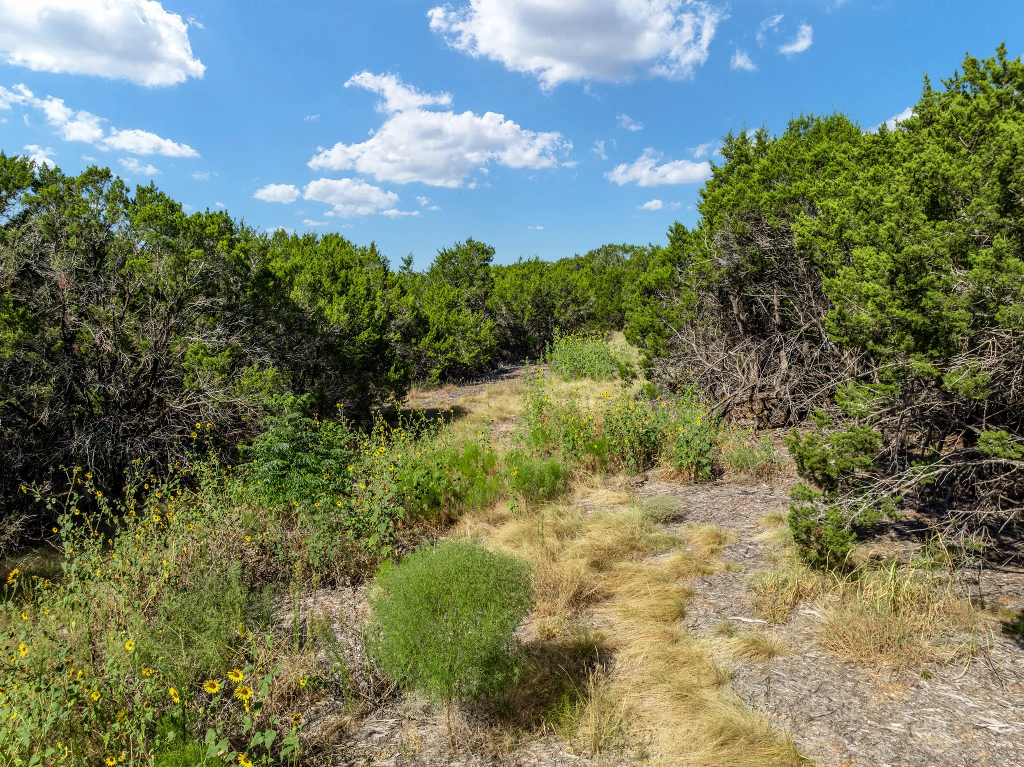 Unimproved Land For Sale in Coryell County , 161 Dove Circle, Jonesboro, Texas 76538, 0, 0, Garage spaces, 0 Sqft, built in 0, mls#21363694, Real Estate Agent in Jonesboro, Homes For Sale in Coryell county, Homes For Sale in Jonesboro, Realtor in Jonesboro Texas, Real Estate Brokerage Independent Realty Texas, Luminita Cordes Realtor