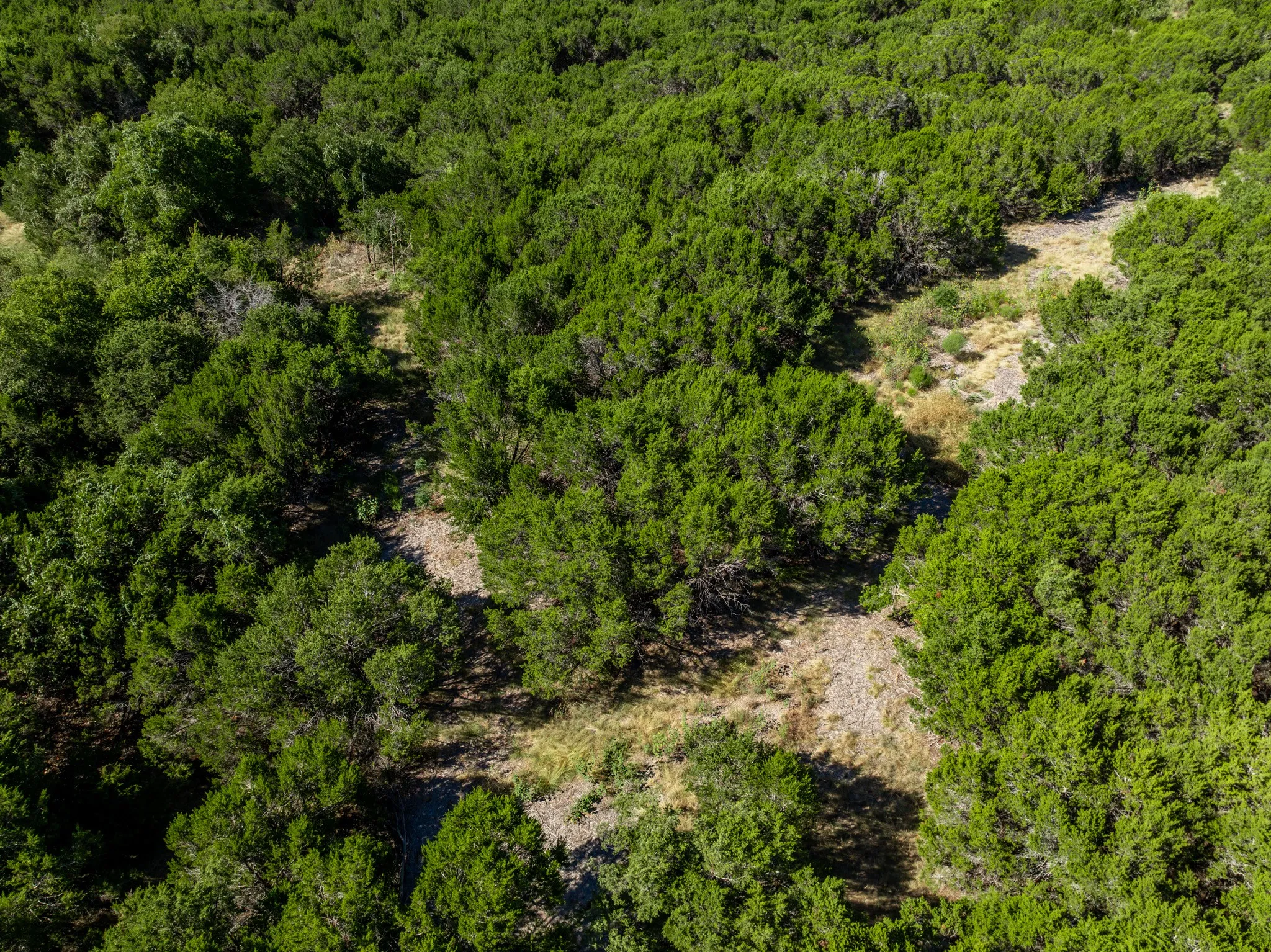 Unimproved Land For Sale in Coryell County , 161 Dove Circle, Jonesboro, Texas 76538, 0, 0, Garage spaces, 0 Sqft, built in 0, mls#21363694, Real Estate Agent in Jonesboro, Homes For Sale in Coryell county, Homes For Sale in Jonesboro, Realtor in Jonesboro Texas, Real Estate Brokerage Independent Realty Texas, Luminita Cordes Realtor
