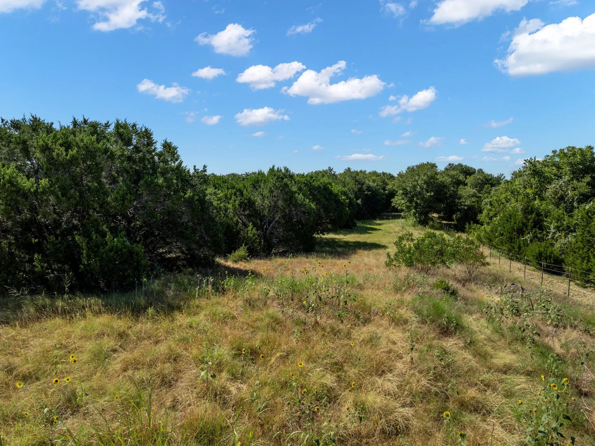 Unimproved Land For Sale in Coryell County , 161 Dove Circle, Jonesboro, Texas 76538, 0, 0, Garage spaces, 0 Sqft, built in 0, mls#21363694, Real Estate Agent in Jonesboro, Homes For Sale in Coryell county, Homes For Sale in Jonesboro, Realtor in Jonesboro Texas, Real Estate Brokerage Independent Realty Texas, Luminita Cordes Realtor