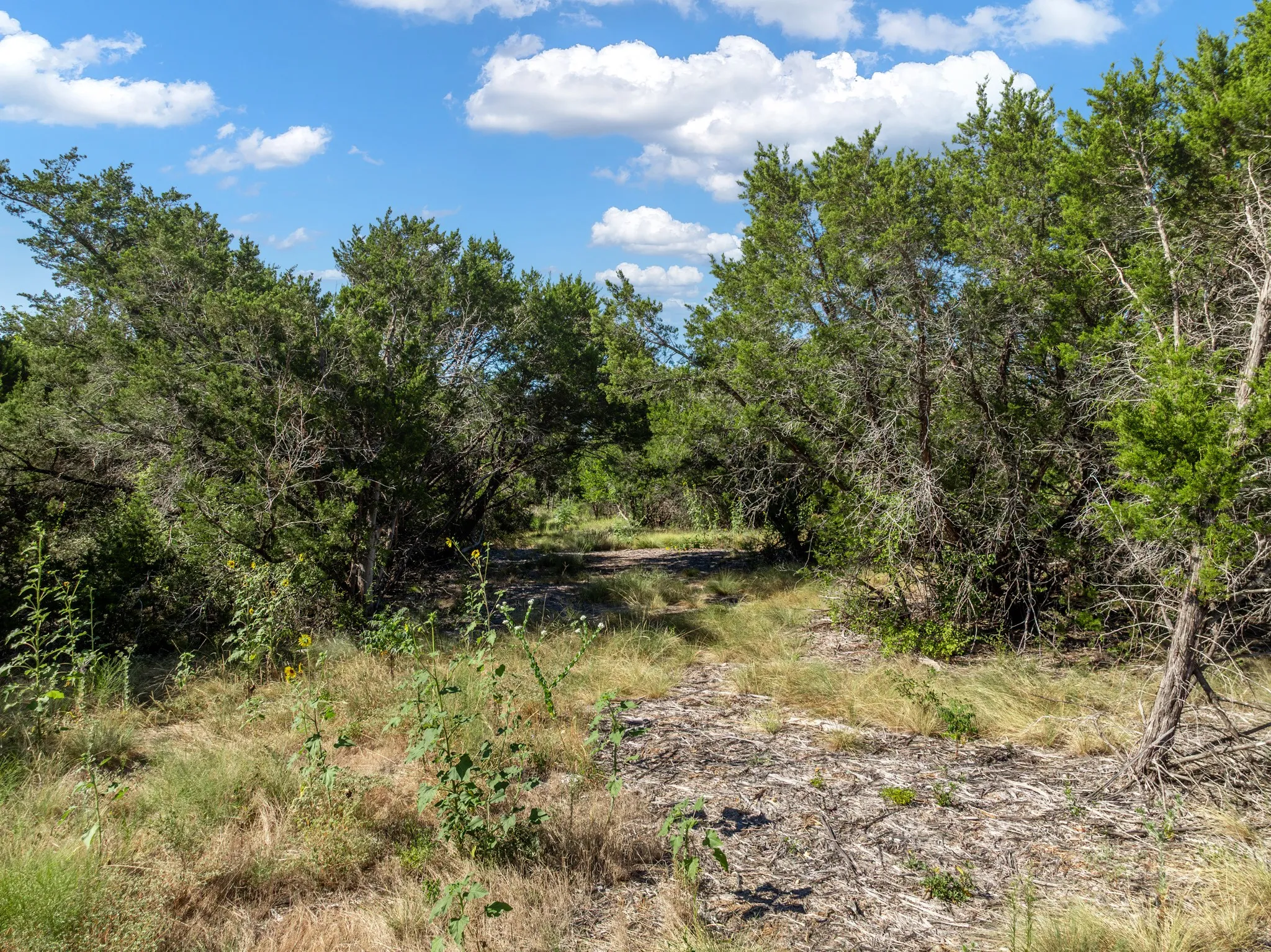 Unimproved Land For Sale in Coryell County , 161 Dove Circle, Jonesboro, Texas 76538, 0, 0, Garage spaces, 0 Sqft, built in 0, mls#21363694, Real Estate Agent in Jonesboro, Homes For Sale in Coryell county, Homes For Sale in Jonesboro, Realtor in Jonesboro Texas, Real Estate Brokerage Independent Realty Texas, Luminita Cordes Realtor