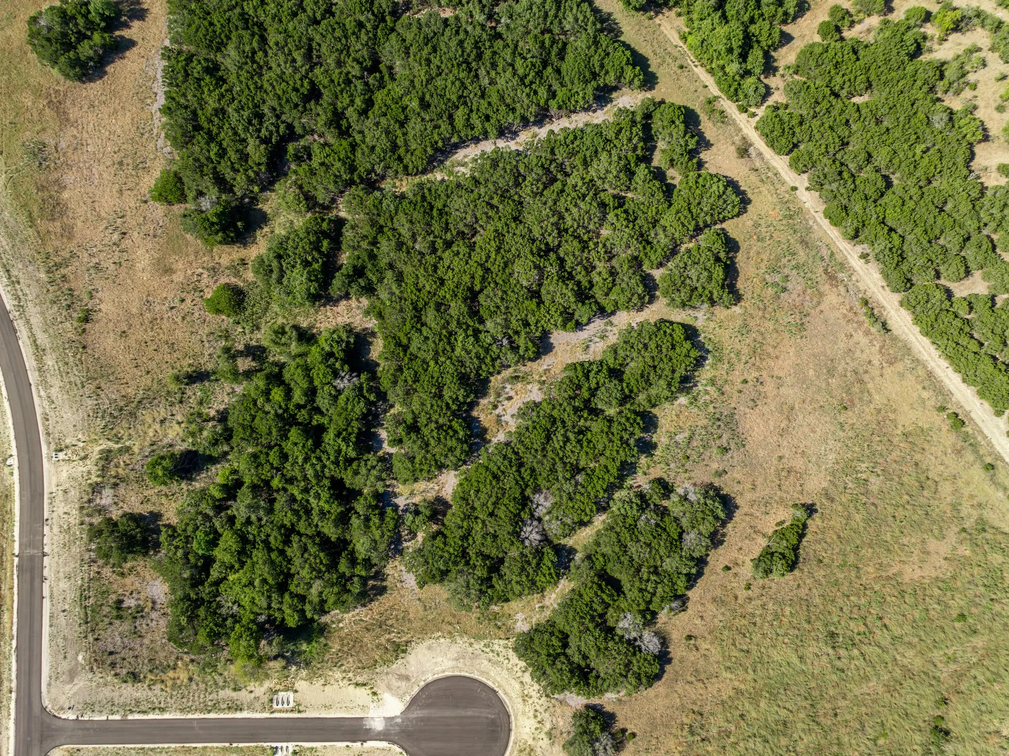 Unimproved Land For Sale in Coryell County , 161 Dove Circle, Jonesboro, Texas 76538, 0, 0, Garage spaces, 0 Sqft, built in 0, mls#21363694, Real Estate Agent in Jonesboro, Homes For Sale in Coryell county, Homes For Sale in Jonesboro, Realtor in Jonesboro Texas, Real Estate Brokerage Independent Realty Texas, Luminita Cordes Realtor
