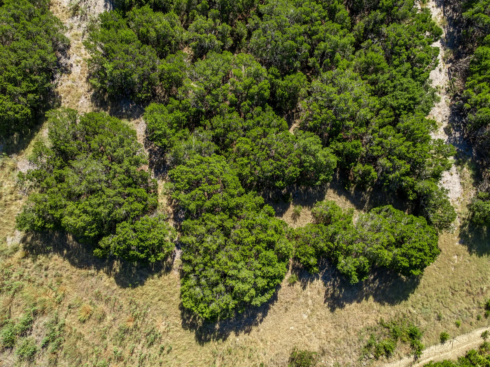 Unimproved Land For Sale in Coryell County , 161 Dove Circle, Jonesboro, Texas 76538, 0, 0, Garage spaces, 0 Sqft, built in 0, mls#21363694, Real Estate Agent in Jonesboro, Homes For Sale in Coryell county, Homes For Sale in Jonesboro, Realtor in Jonesboro Texas, Real Estate Brokerage Independent Realty Texas, Luminita Cordes Realtor