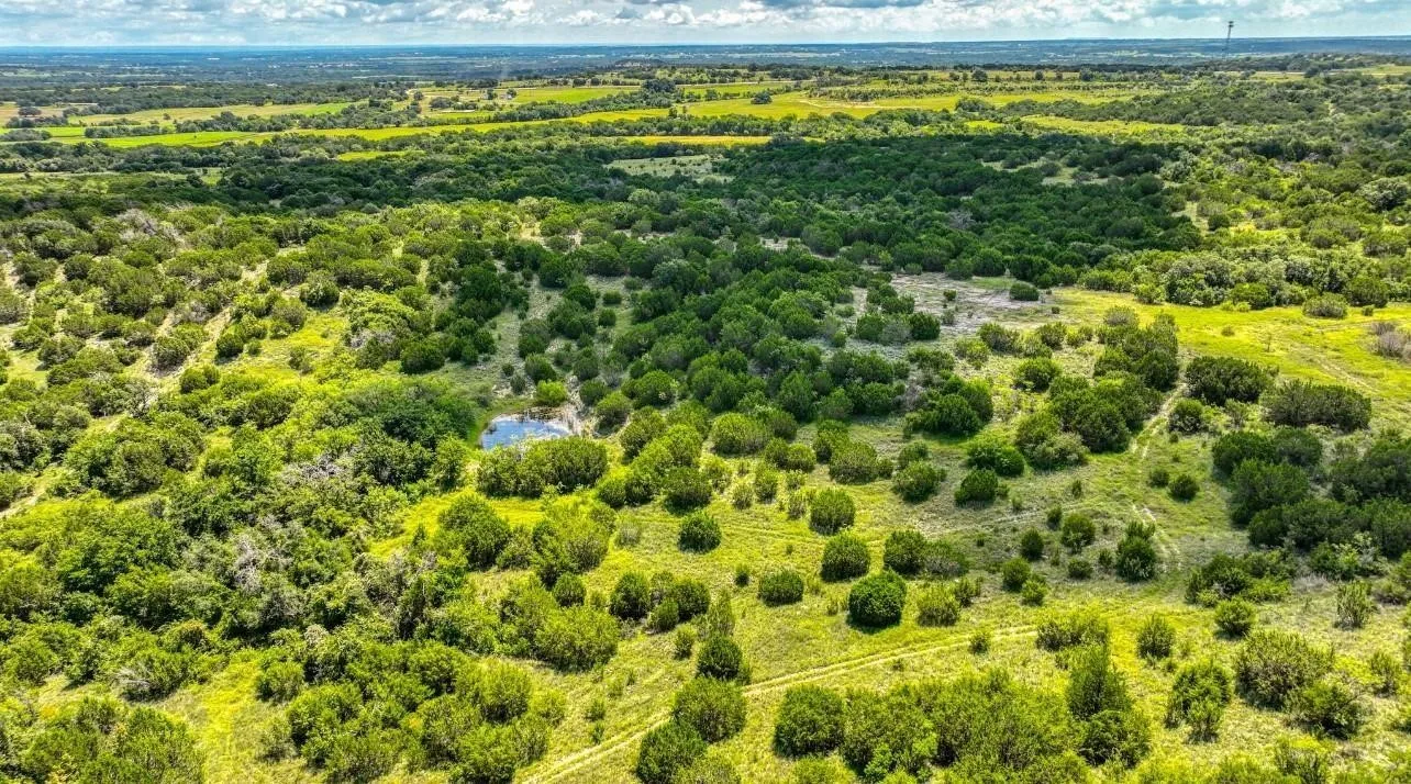 Expansive acreage featuring abundant mature trees, verdant green terrain, and a natural pond