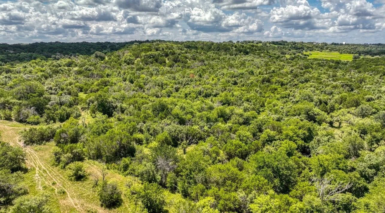 Expansive wooded landscape with varied topography and natural vegetation