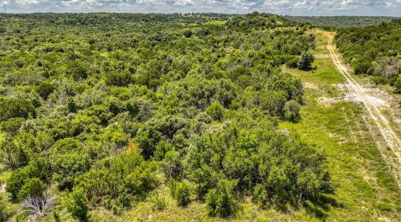 Expansive natural landscape with dense tree coverage and a clear dirt path