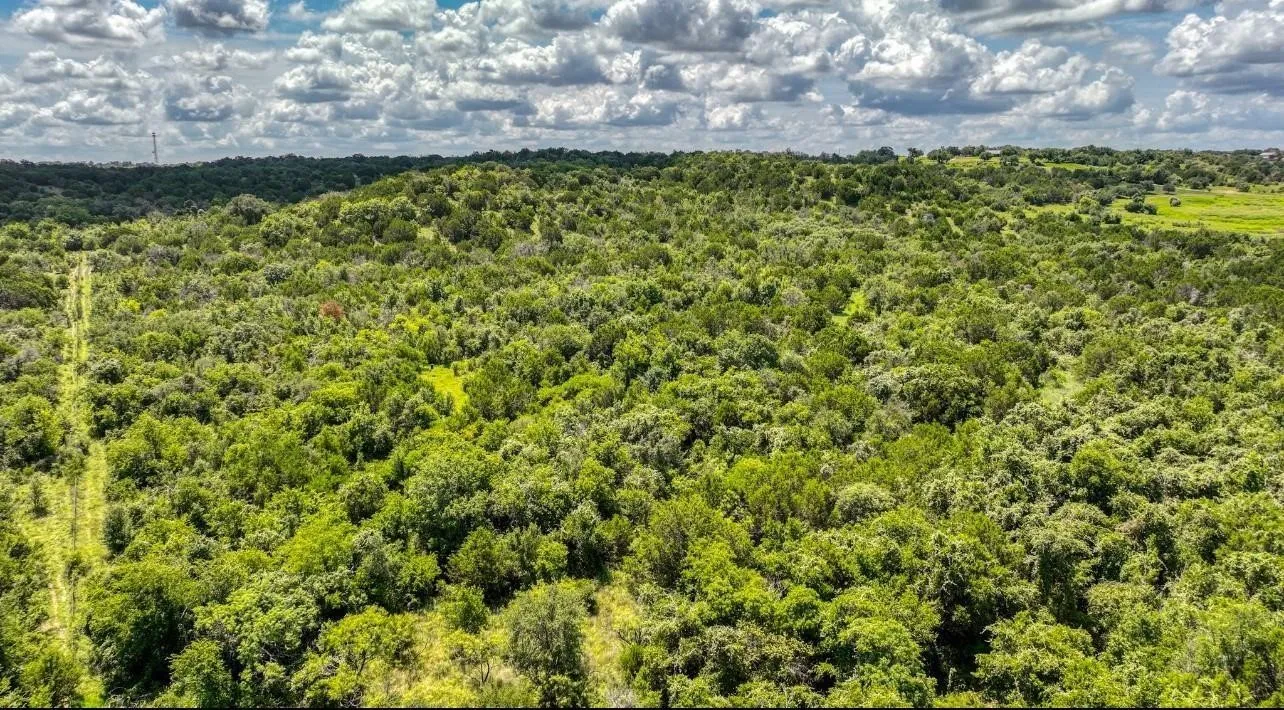 Expansive natural landscape featuring abundant mature trees and varied topography