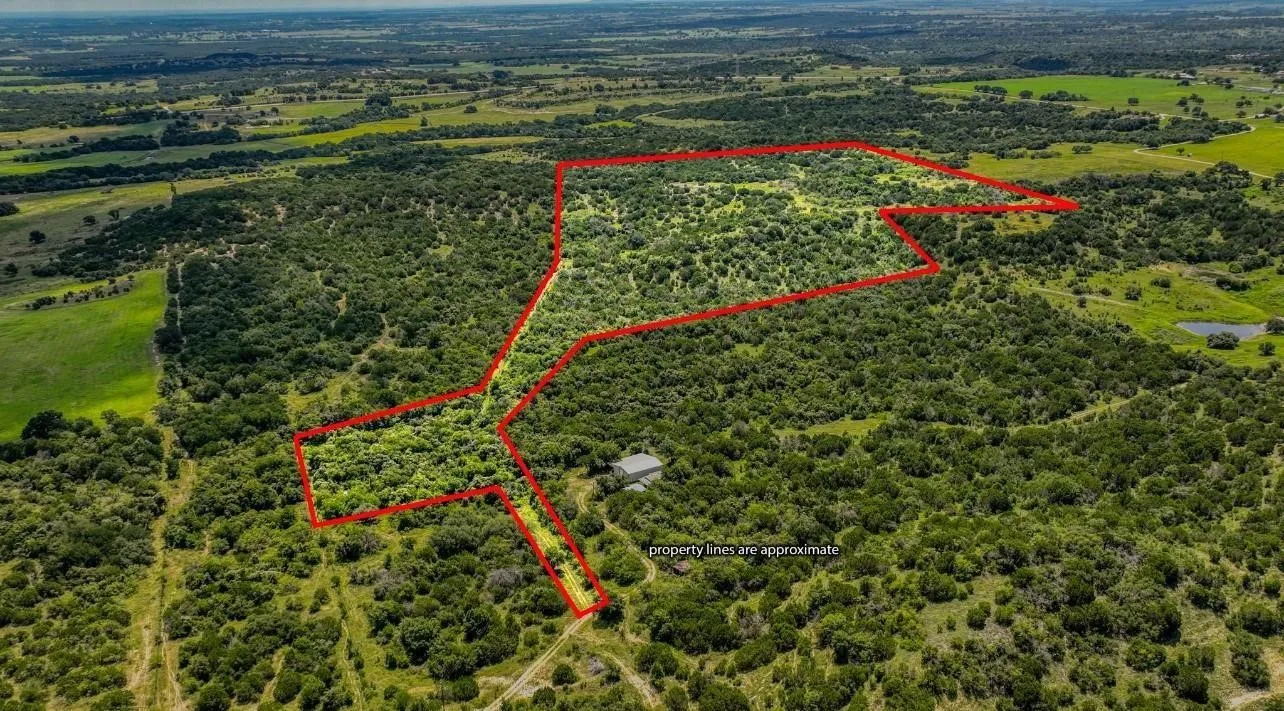 Expansive land parcel featuring dense tree coverage and varied terrain
