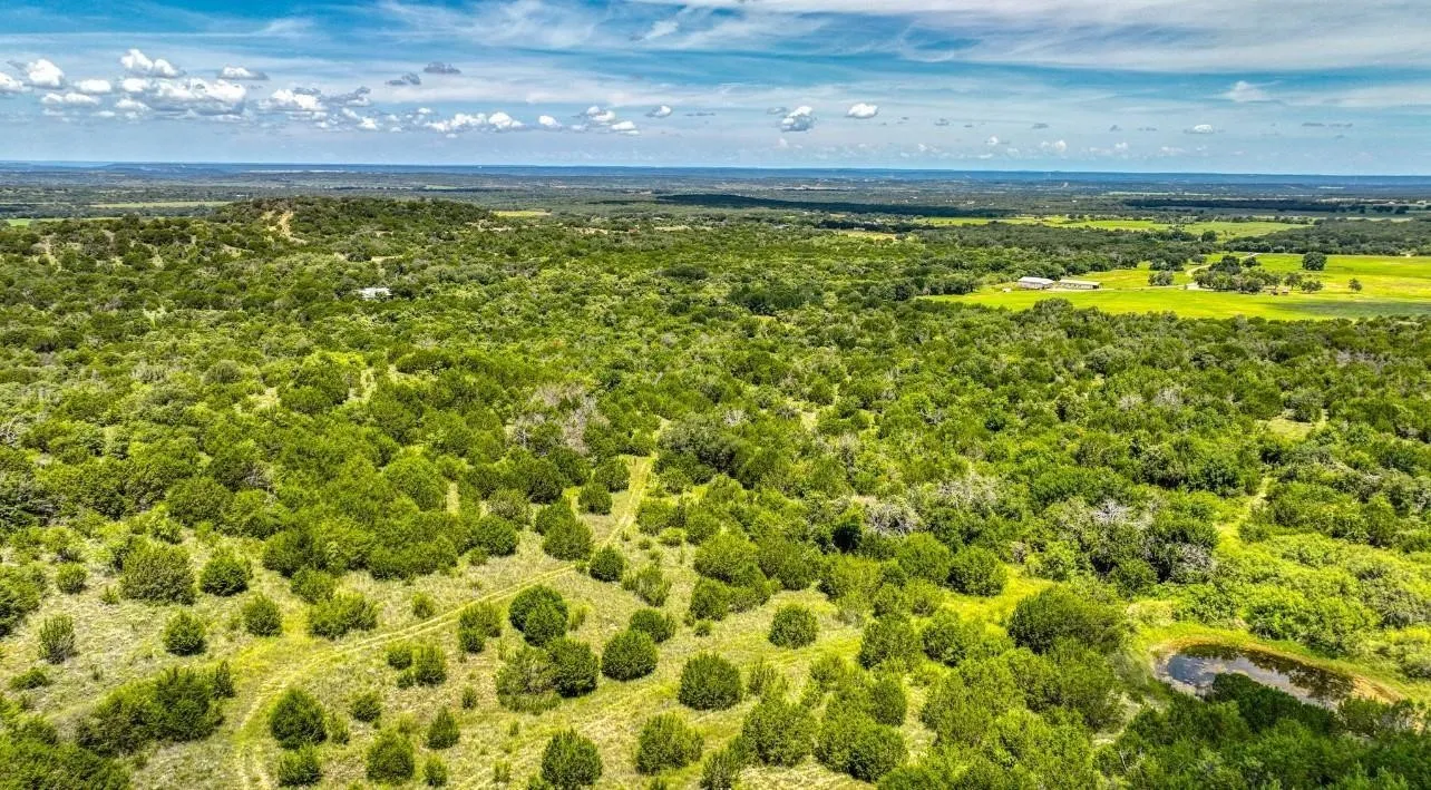 Expansive acreage featuring abundant mature tree cover, open grassy areas, and a natural pond