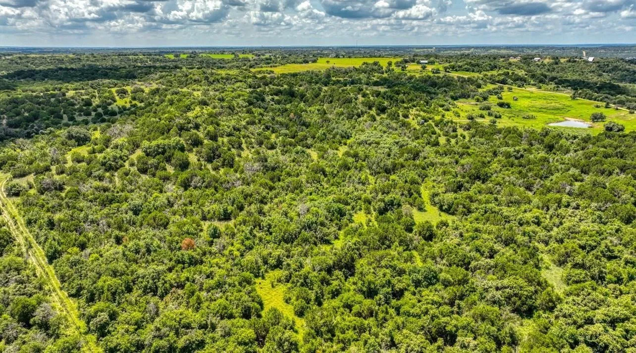 Expansive treed acreage with a visible dirt road and open clearings