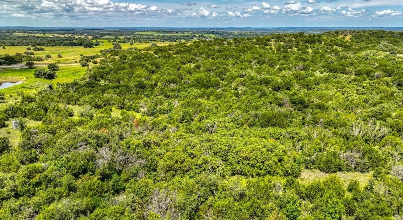 Expansive acreage featuring abundant mature trees, open grassy areas, and natural water features