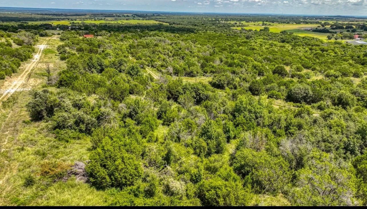 Expansive land parcel featuring dense natural foliage and a visible unpaved track