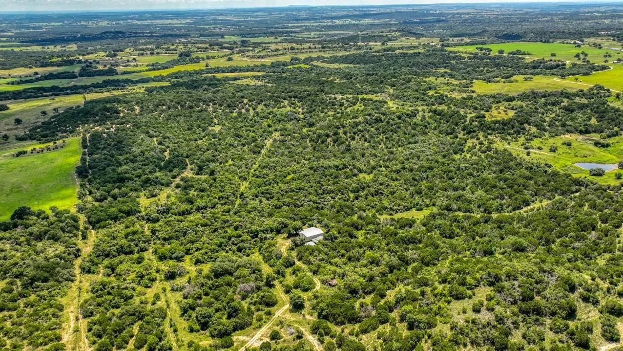 Extensive acreage featuring dense tree coverage, open grassy areas, and a visible structure
