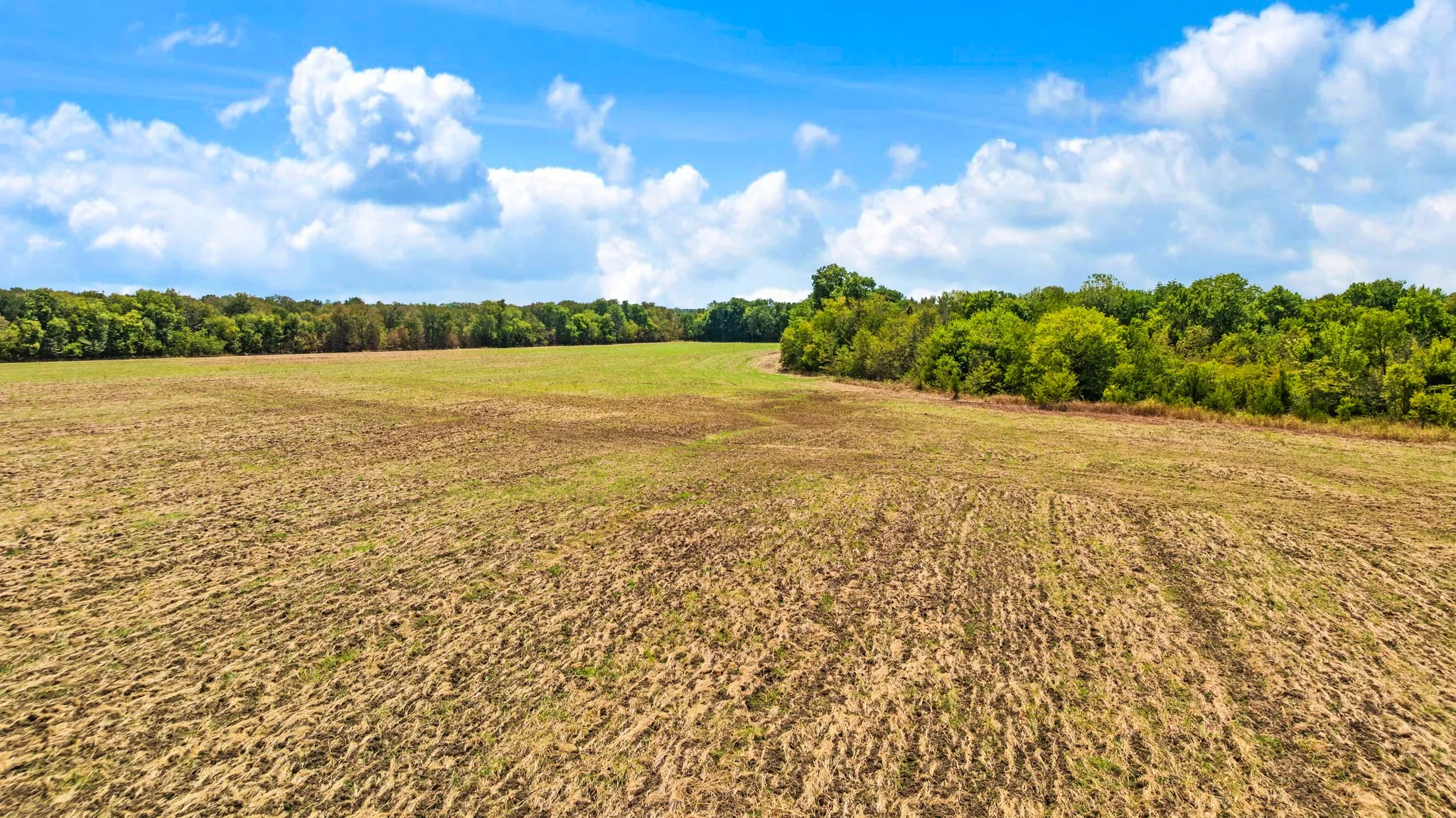 Farm For Sale in Lamar County , 2078 Farm Road 2122, Roxton, Texas 75477, 2 Bedroom, 2 Bathroom, Garage spaces, 2,016 Sqft, built in 2015, mls#21385750, Real Estate Agent in Roxton, Homes For Sale in Lamar county, Homes For Sale in Roxton, Realtor in Roxton Texas, Real Estate Brokerage Independent Realty Texas, Luminita Cordes Realtor