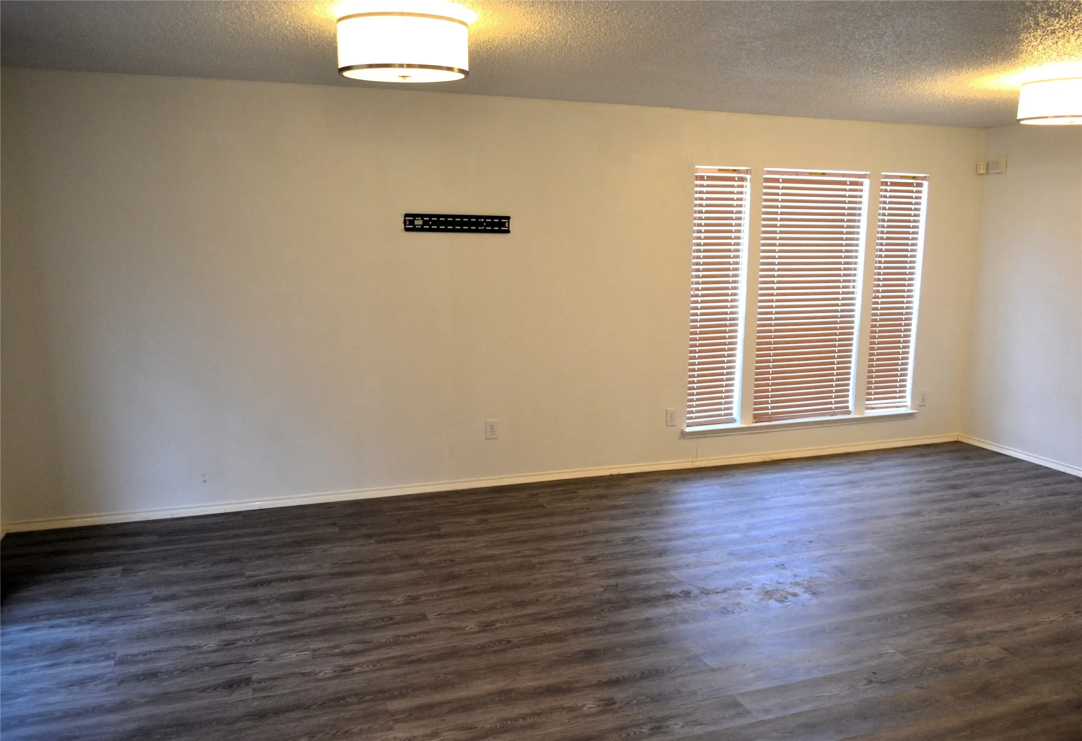Wood-finish flooring throughout, bright white walls, multiple windows with blinds, and flush mount lighting