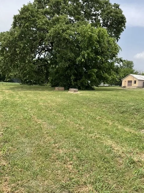 View of grassy yard