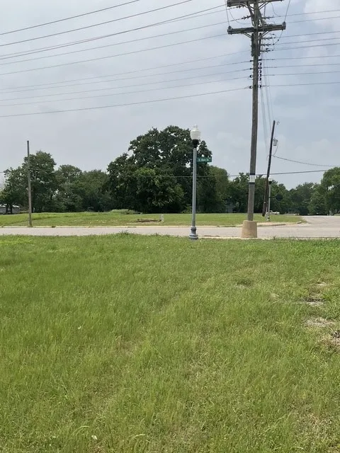View of grassy yard