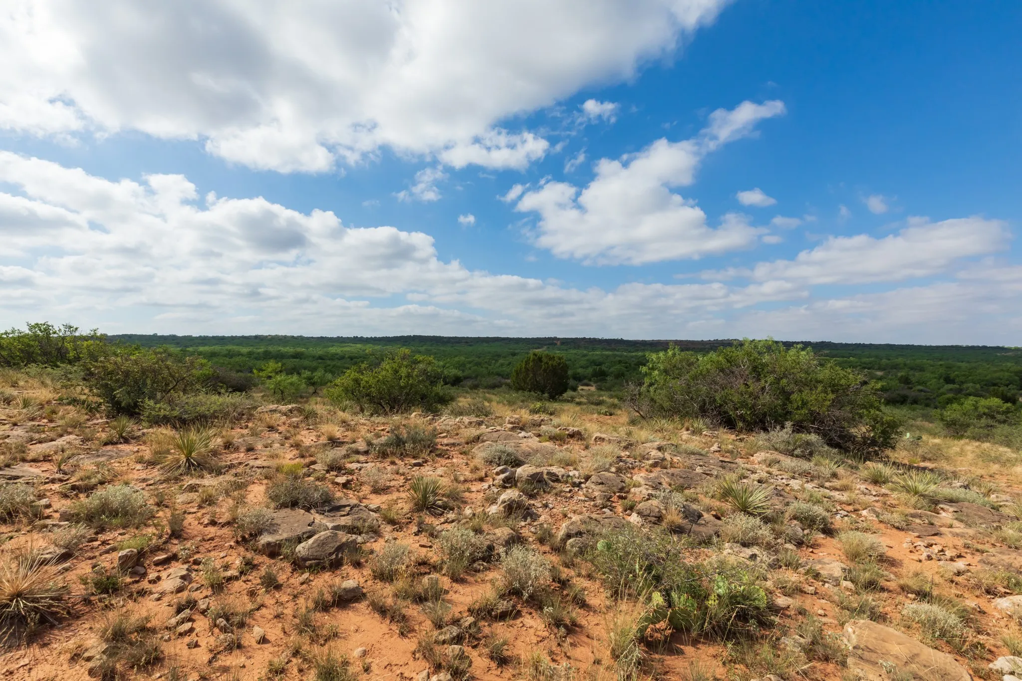 Ranch For Sale in Fisher County , 1 CR 441, Sweetwater, Texas 79556, 0, 0, Garage spaces, 0 Sqft, built in 0, mls#21386723, Real Estate Agent in Sweetwater, Homes For Sale in Fisher county, Homes For Sale in Sweetwater, Realtor in Sweetwater Texas, Real Estate Brokerage Independent Realty Texas, Luminita Cordes Realtor