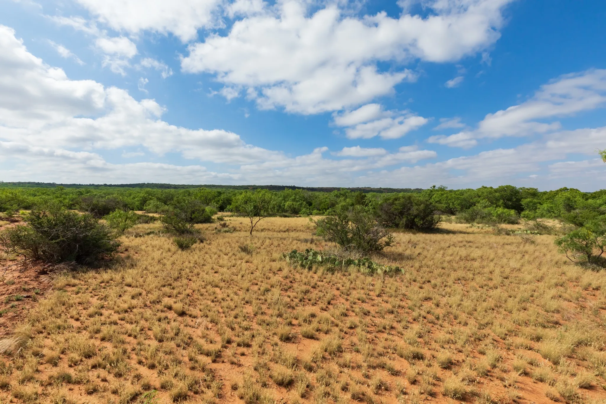 Ranch For Sale in Fisher County , 1 CR 441, Sweetwater, Texas 79556, 0, 0, Garage spaces, 0 Sqft, built in 0, mls#21386723, Real Estate Agent in Sweetwater, Homes For Sale in Fisher county, Homes For Sale in Sweetwater, Realtor in Sweetwater Texas, Real Estate Brokerage Independent Realty Texas, Luminita Cordes Realtor