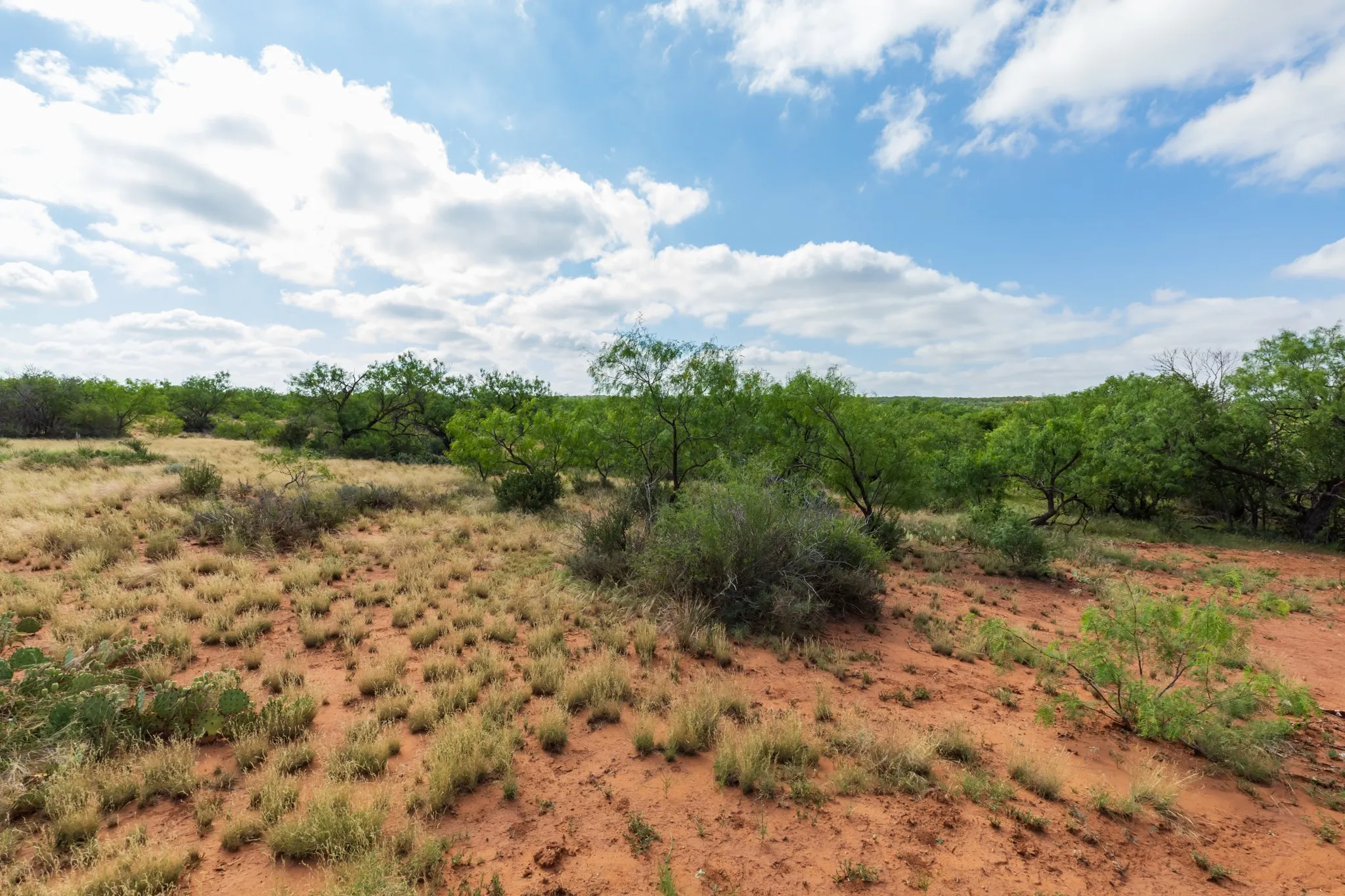 Ranch For Sale in Fisher County , 1 CR 441, Sweetwater, Texas 79556, 0, 0, Garage spaces, 0 Sqft, built in 0, mls#21386723, Real Estate Agent in Sweetwater, Homes For Sale in Fisher county, Homes For Sale in Sweetwater, Realtor in Sweetwater Texas, Real Estate Brokerage Independent Realty Texas, Luminita Cordes Realtor