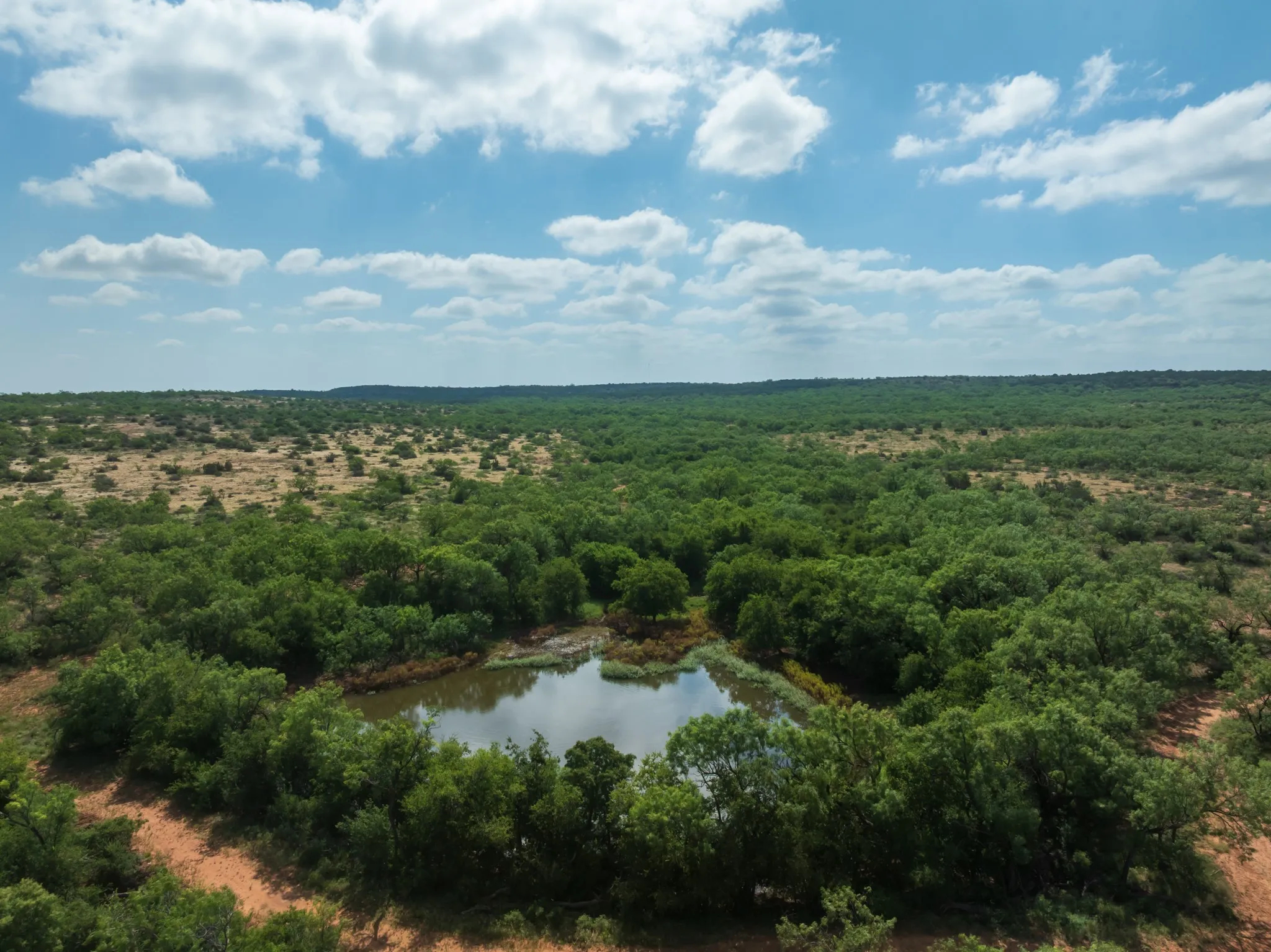 Ranch For Sale in Fisher County , 1 CR 441, Sweetwater, Texas 79556, 0, 0, Garage spaces, 0 Sqft, built in 0, mls#21386723, Real Estate Agent in Sweetwater, Homes For Sale in Fisher county, Homes For Sale in Sweetwater, Realtor in Sweetwater Texas, Real Estate Brokerage Independent Realty Texas, Luminita Cordes Realtor