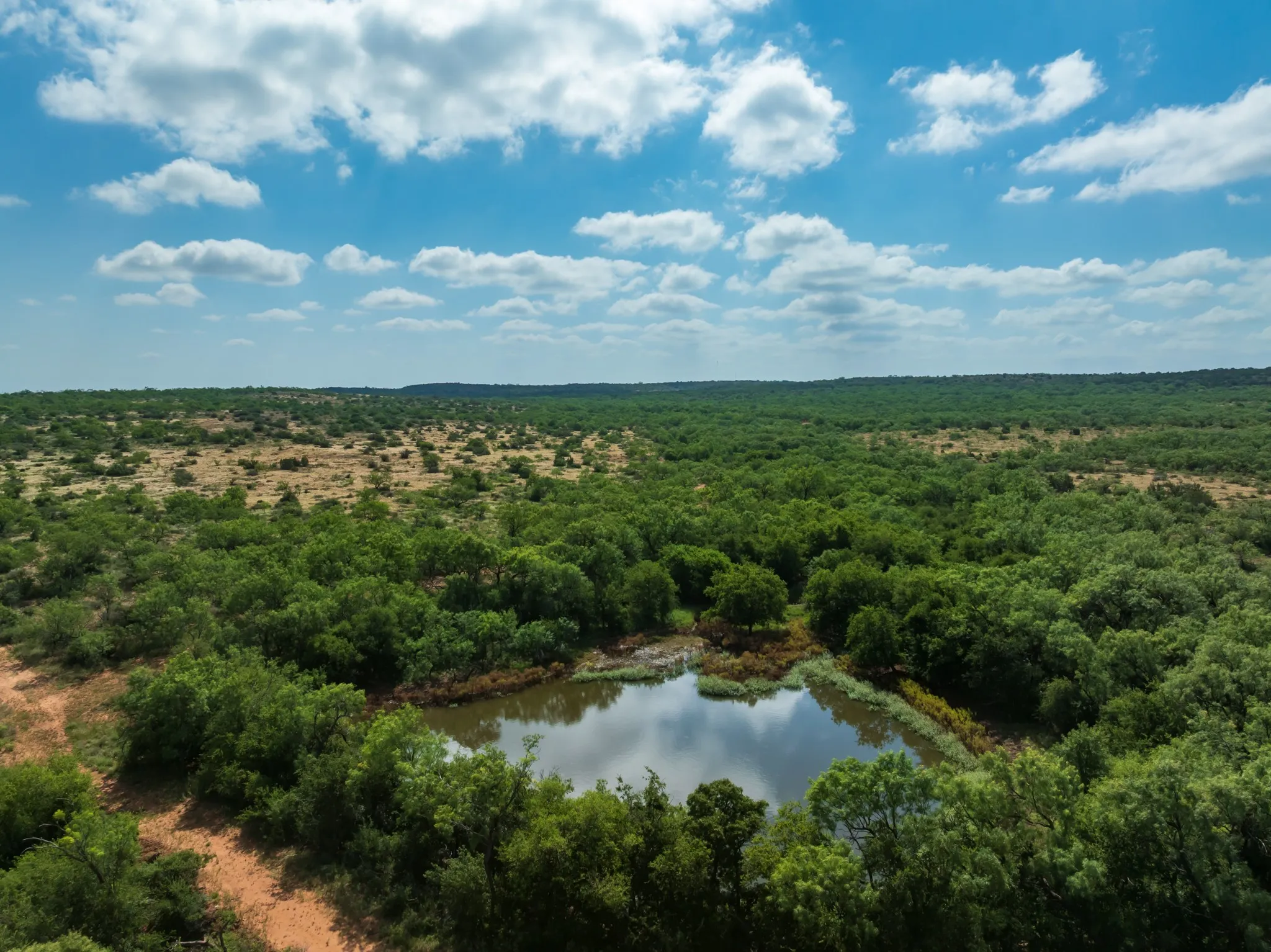 Ranch For Sale in Fisher County , 1 CR 441, Sweetwater, Texas 79556, 0, 0, Garage spaces, 0 Sqft, built in 0, mls#21386723, Real Estate Agent in Sweetwater, Homes For Sale in Fisher county, Homes For Sale in Sweetwater, Realtor in Sweetwater Texas, Real Estate Brokerage Independent Realty Texas, Luminita Cordes Realtor