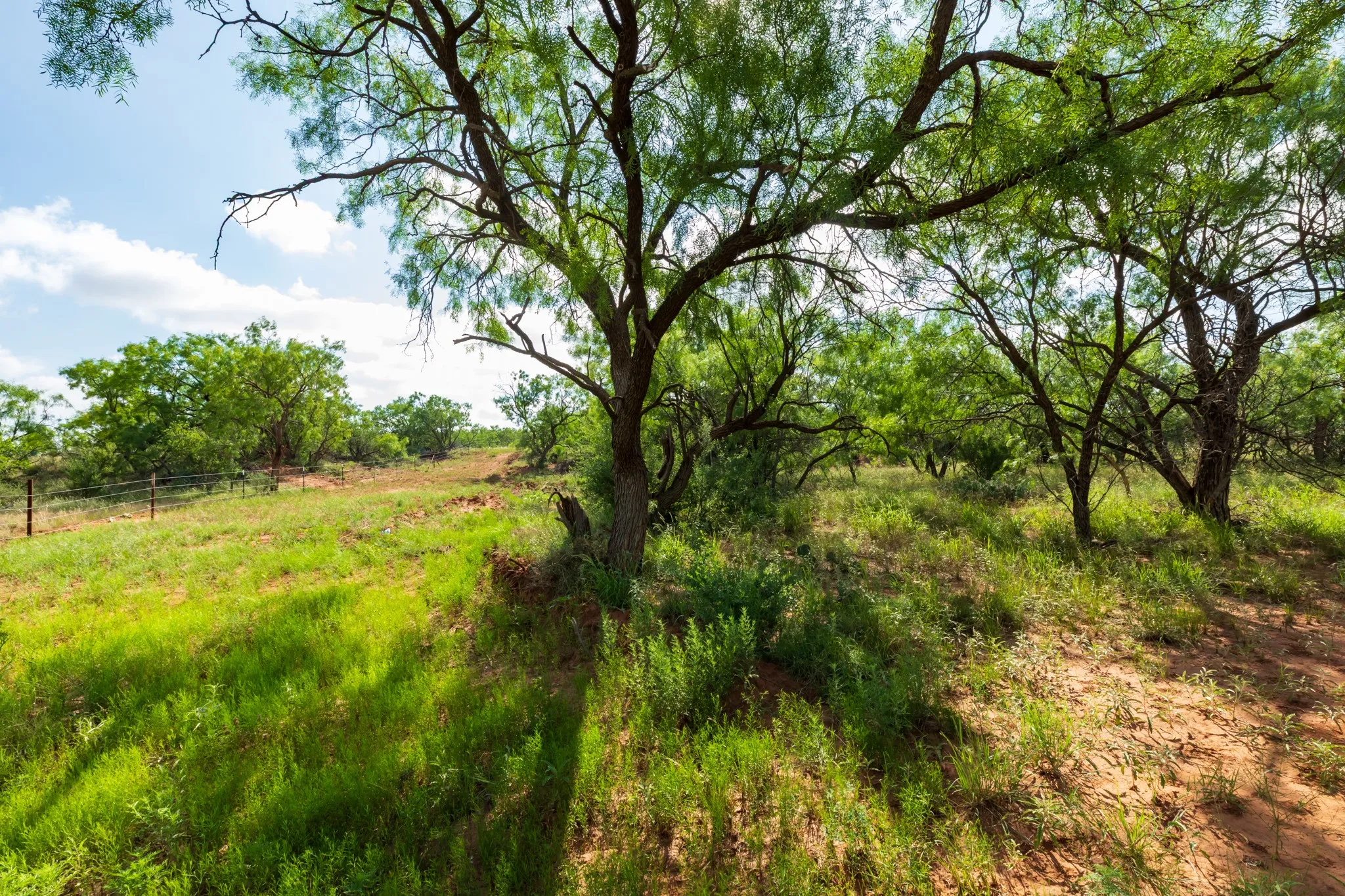Ranch For Sale in Fisher County , 1 CR 441, Sweetwater, Texas 79556, 0, 0, Garage spaces, 0 Sqft, built in 0, mls#21386723, Real Estate Agent in Sweetwater, Homes For Sale in Fisher county, Homes For Sale in Sweetwater, Realtor in Sweetwater Texas, Real Estate Brokerage Independent Realty Texas, Luminita Cordes Realtor