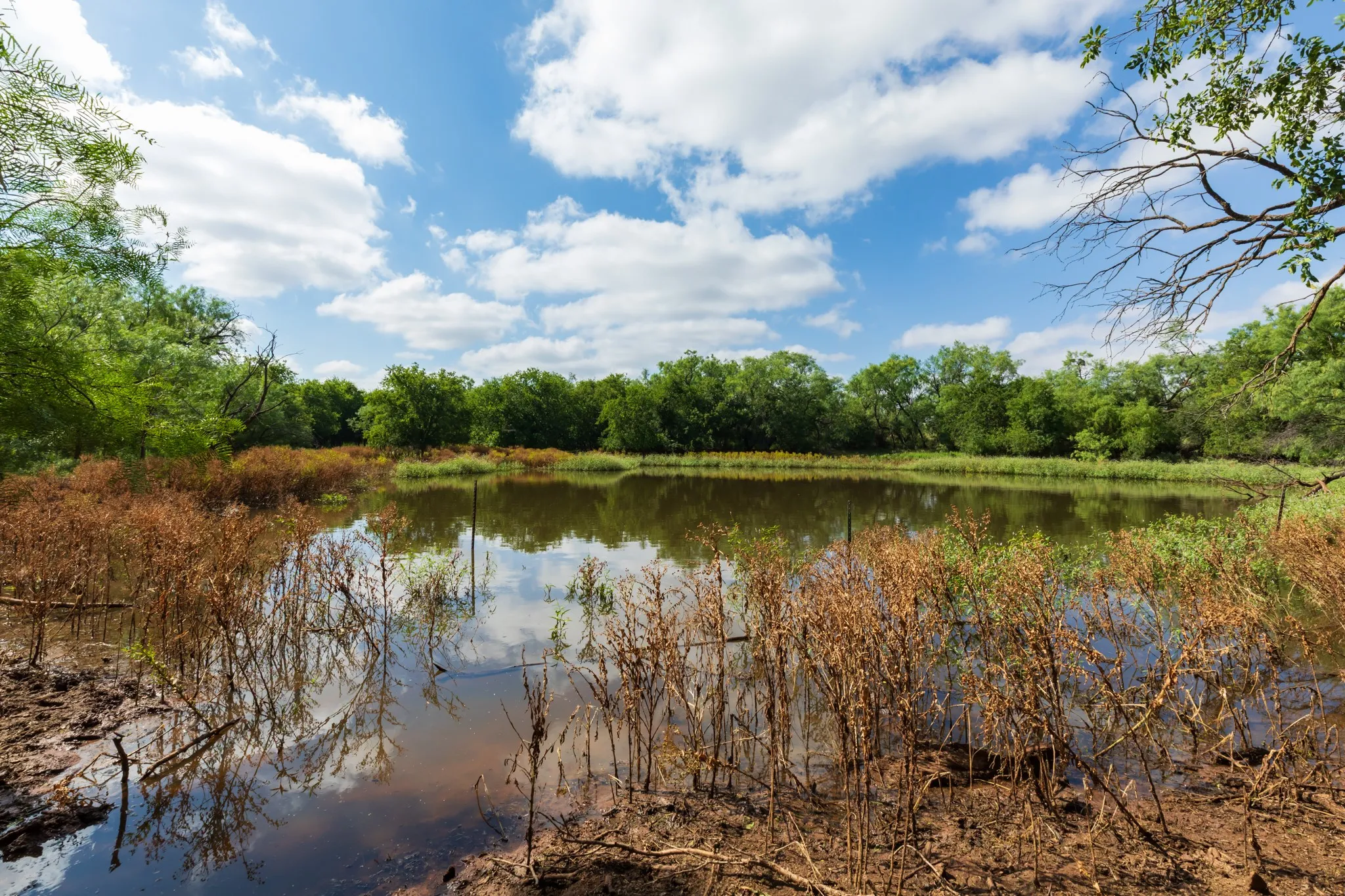 Ranch For Sale in Fisher County , 1 CR 441, Sweetwater, Texas 79556, 0, 0, Garage spaces, 0 Sqft, built in 0, mls#21386723, Real Estate Agent in Sweetwater, Homes For Sale in Fisher county, Homes For Sale in Sweetwater, Realtor in Sweetwater Texas, Real Estate Brokerage Independent Realty Texas, Luminita Cordes Realtor