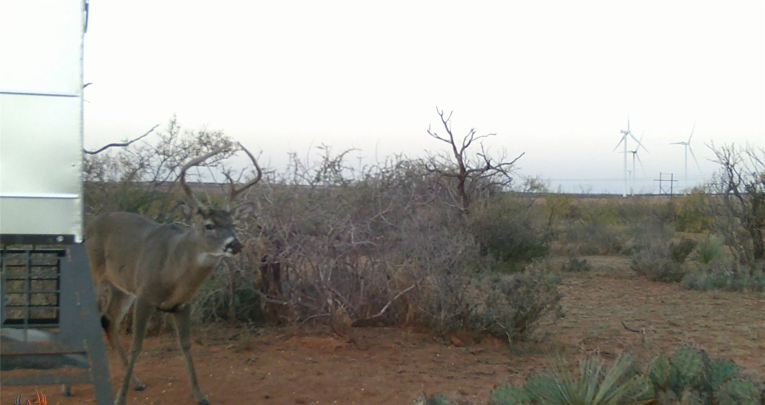 Ranch For Sale in Fisher County , 1 CR 441, Sweetwater, Texas 79556, 0, 0, Garage spaces, 0 Sqft, built in 0, mls#21386723, Real Estate Agent in Sweetwater, Homes For Sale in Fisher county, Homes For Sale in Sweetwater, Realtor in Sweetwater Texas, Real Estate Brokerage Independent Realty Texas, Luminita Cordes Realtor