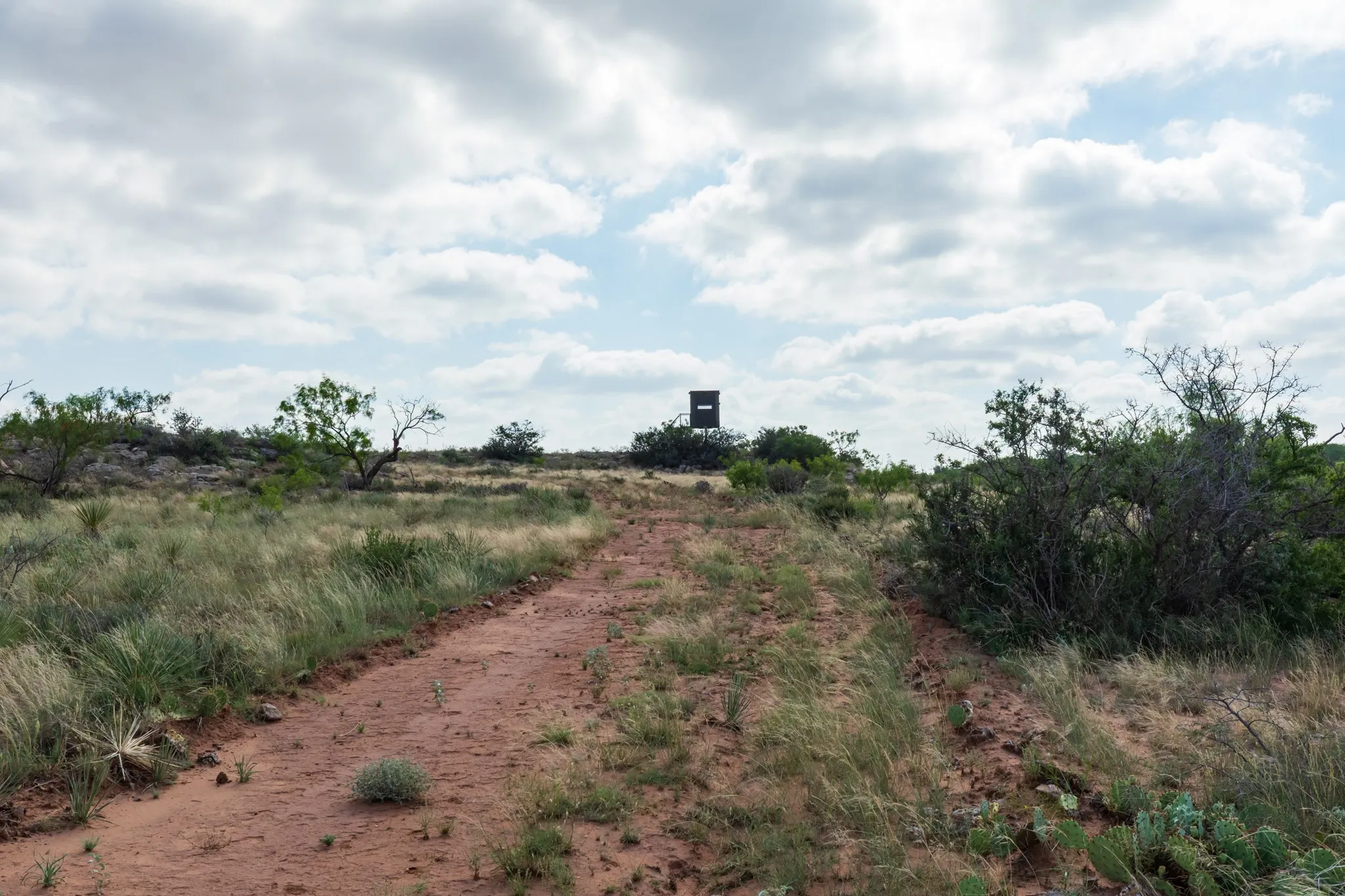 Ranch For Sale in Fisher County , 1 CR 441, Sweetwater, Texas 79556, 0, 0, Garage spaces, 0 Sqft, built in 0, mls#21386723, Real Estate Agent in Sweetwater, Homes For Sale in Fisher county, Homes For Sale in Sweetwater, Realtor in Sweetwater Texas, Real Estate Brokerage Independent Realty Texas, Luminita Cordes Realtor
