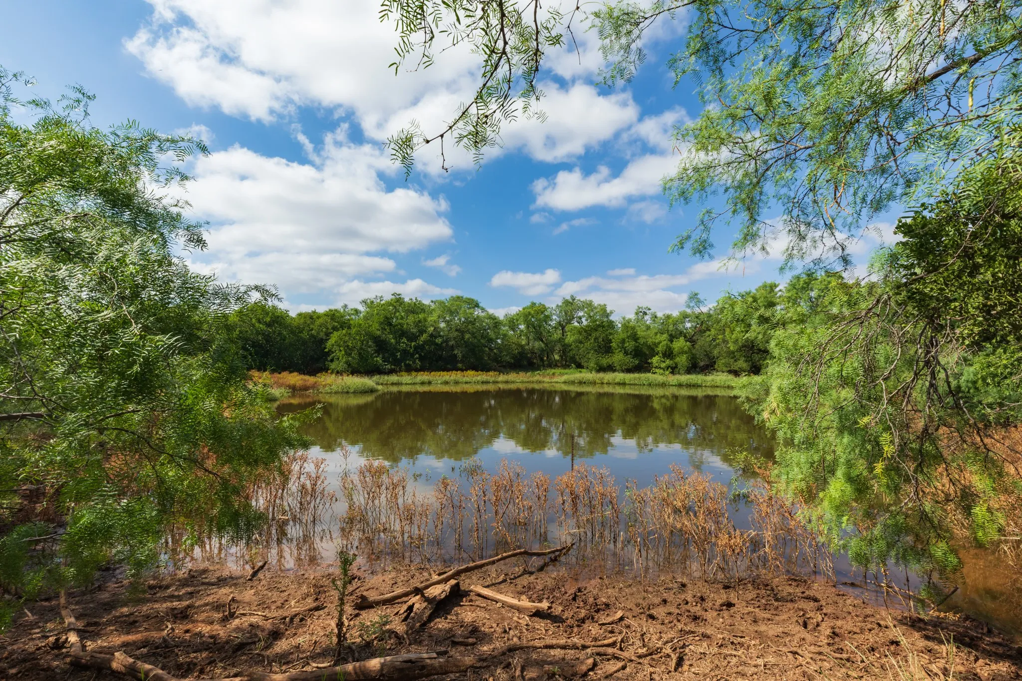 Ranch For Sale in Fisher County , 1 CR 441, Sweetwater, Texas 79556, 0, 0, Garage spaces, 0 Sqft, built in 0, mls#21386723, Real Estate Agent in Sweetwater, Homes For Sale in Fisher county, Homes For Sale in Sweetwater, Realtor in Sweetwater Texas, Real Estate Brokerage Independent Realty Texas, Luminita Cordes Realtor