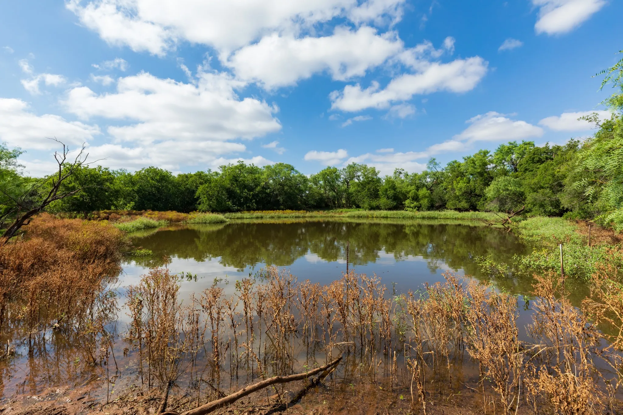 Ranch For Sale in Fisher County , 1 CR 441, Sweetwater, Texas 79556, 0, 0, Garage spaces, 0 Sqft, built in 0, mls#21386723, Real Estate Agent in Sweetwater, Homes For Sale in Fisher county, Homes For Sale in Sweetwater, Realtor in Sweetwater Texas, Real Estate Brokerage Independent Realty Texas, Luminita Cordes Realtor