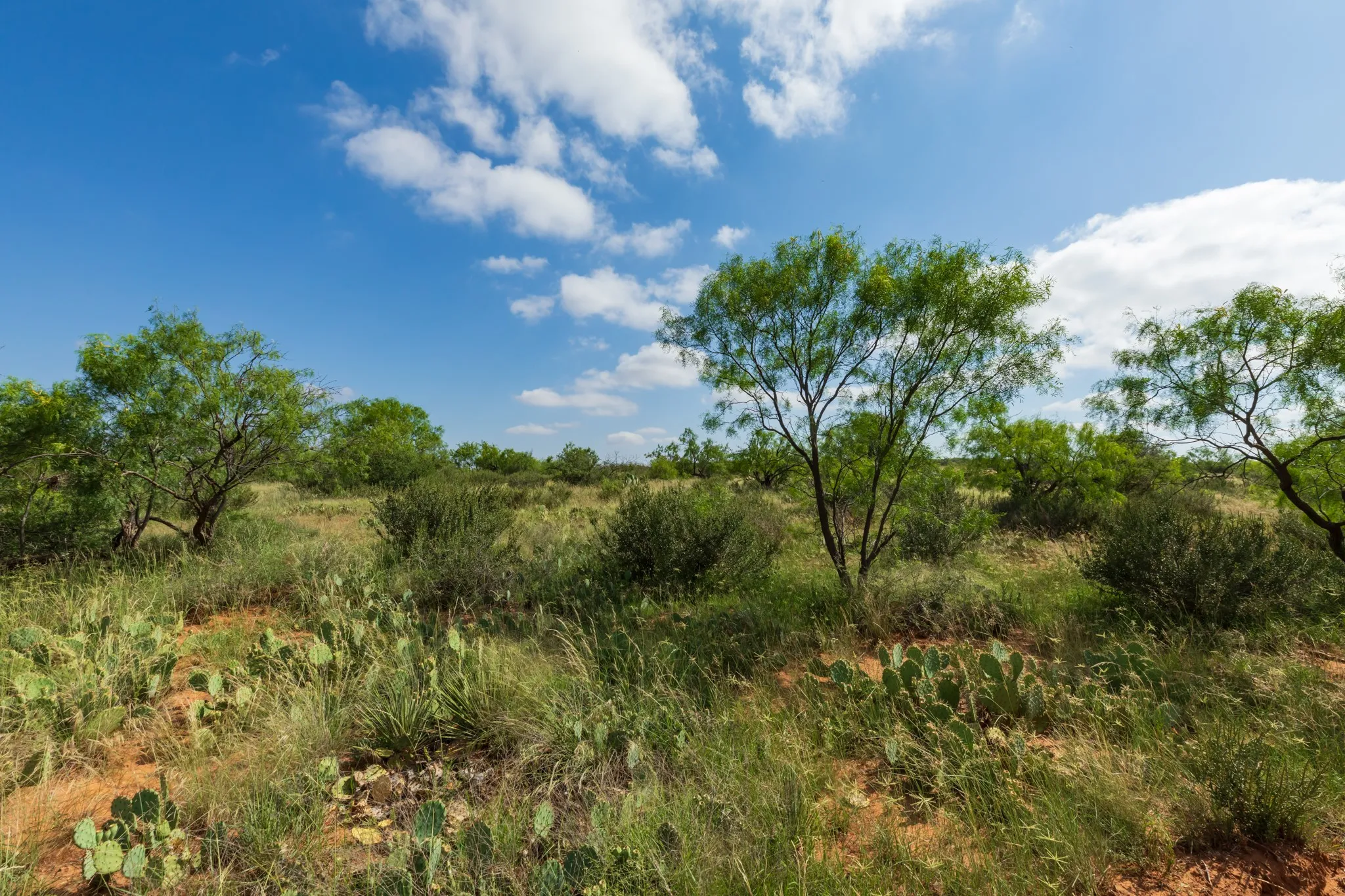 Ranch For Sale in Fisher County , 1 CR 441, Sweetwater, Texas 79556, 0, 0, Garage spaces, 0 Sqft, built in 0, mls#21386723, Real Estate Agent in Sweetwater, Homes For Sale in Fisher county, Homes For Sale in Sweetwater, Realtor in Sweetwater Texas, Real Estate Brokerage Independent Realty Texas, Luminita Cordes Realtor