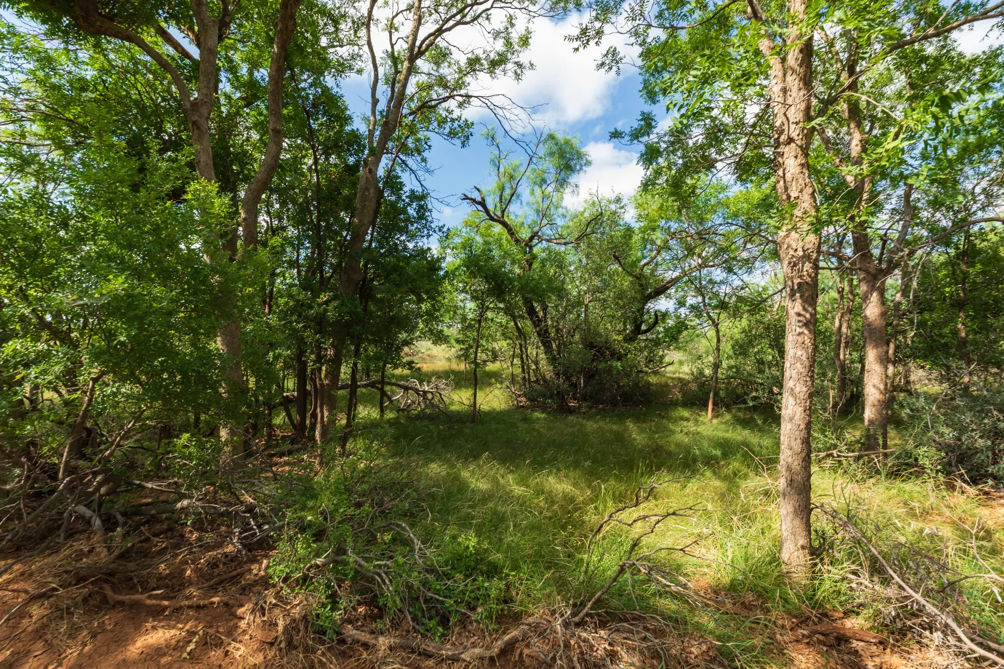 Ranch For Sale in Fisher County , 1 CR 441, Sweetwater, Texas 79556, 0, 0, Garage spaces, 0 Sqft, built in 0, mls#21386723, Real Estate Agent in Sweetwater, Homes For Sale in Fisher county, Homes For Sale in Sweetwater, Realtor in Sweetwater Texas, Real Estate Brokerage Independent Realty Texas, Luminita Cordes Realtor