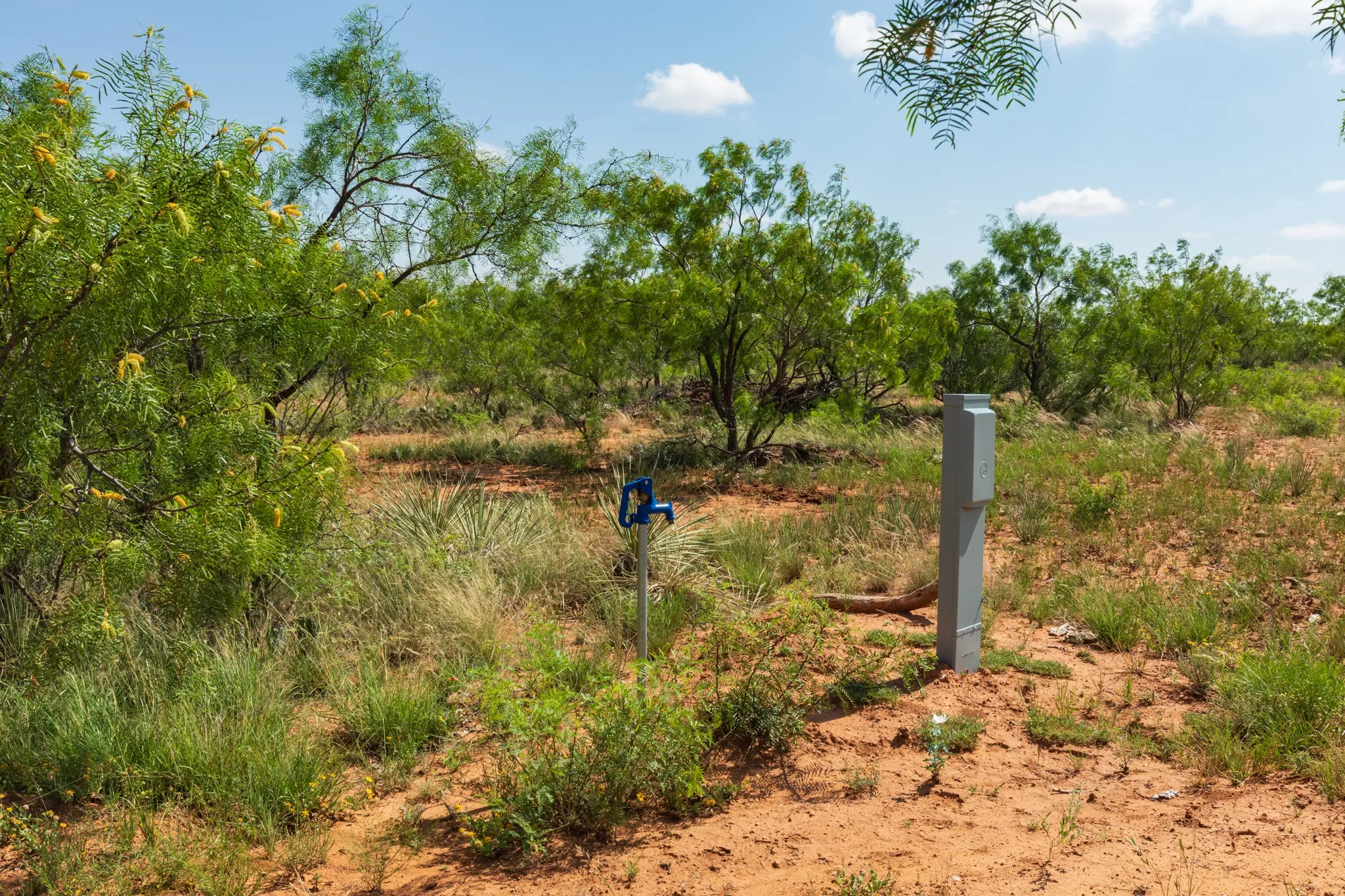 Ranch For Sale in Fisher County , 1 CR 441, Sweetwater, Texas 79556, 0, 0, Garage spaces, 0 Sqft, built in 0, mls#21386723, Real Estate Agent in Sweetwater, Homes For Sale in Fisher county, Homes For Sale in Sweetwater, Realtor in Sweetwater Texas, Real Estate Brokerage Independent Realty Texas, Luminita Cordes Realtor