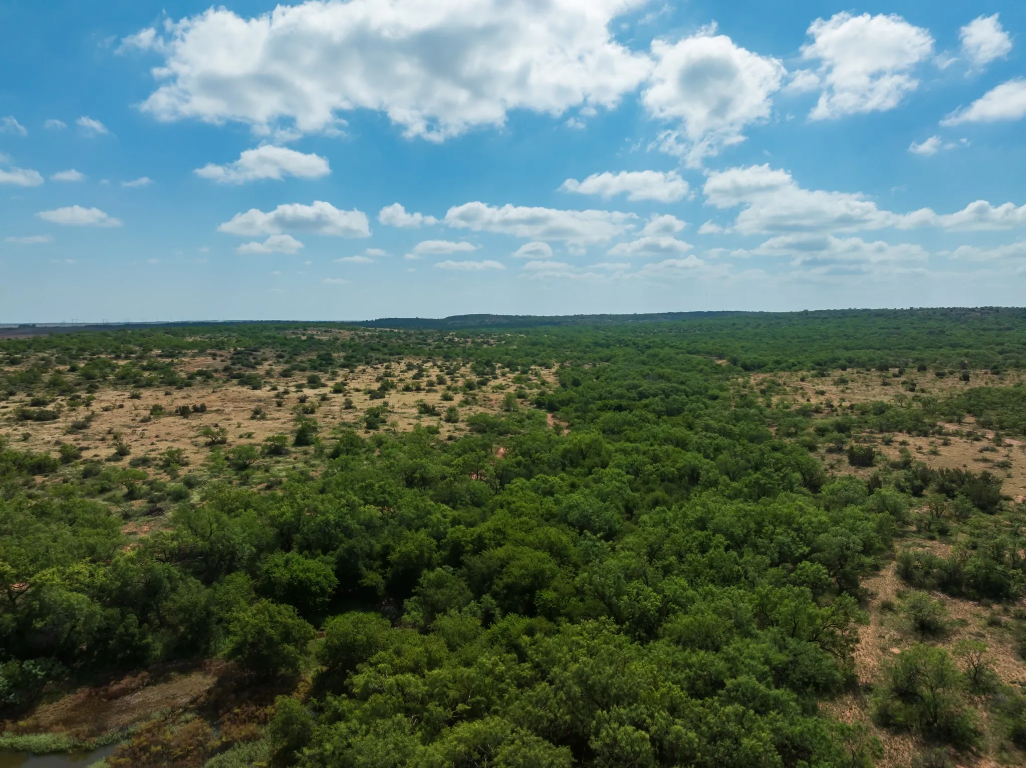 Ranch For Sale in Fisher County , 1 CR 441, Sweetwater, Texas 79556, 0, 0, Garage spaces, 0 Sqft, built in 0, mls#21386723, Real Estate Agent in Sweetwater, Homes For Sale in Fisher county, Homes For Sale in Sweetwater, Realtor in Sweetwater Texas, Real Estate Brokerage Independent Realty Texas, Luminita Cordes Realtor