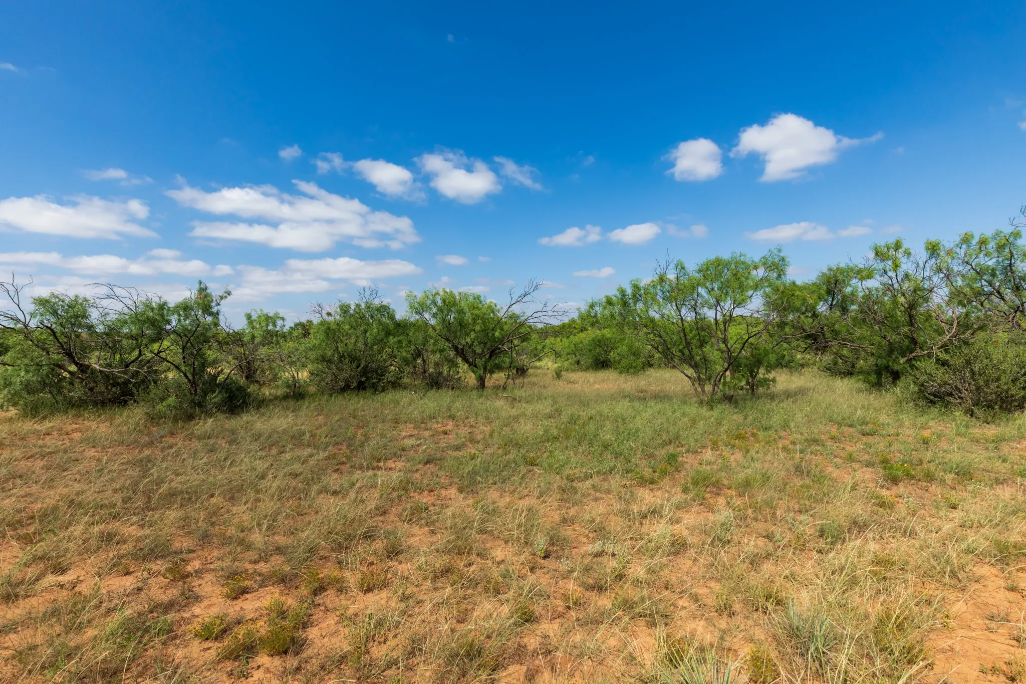 Ranch For Sale in Fisher County , 1 CR 441, Sweetwater, Texas 79556, 0, 0, Garage spaces, 0 Sqft, built in 0, mls#21386723, Real Estate Agent in Sweetwater, Homes For Sale in Fisher county, Homes For Sale in Sweetwater, Realtor in Sweetwater Texas, Real Estate Brokerage Independent Realty Texas, Luminita Cordes Realtor