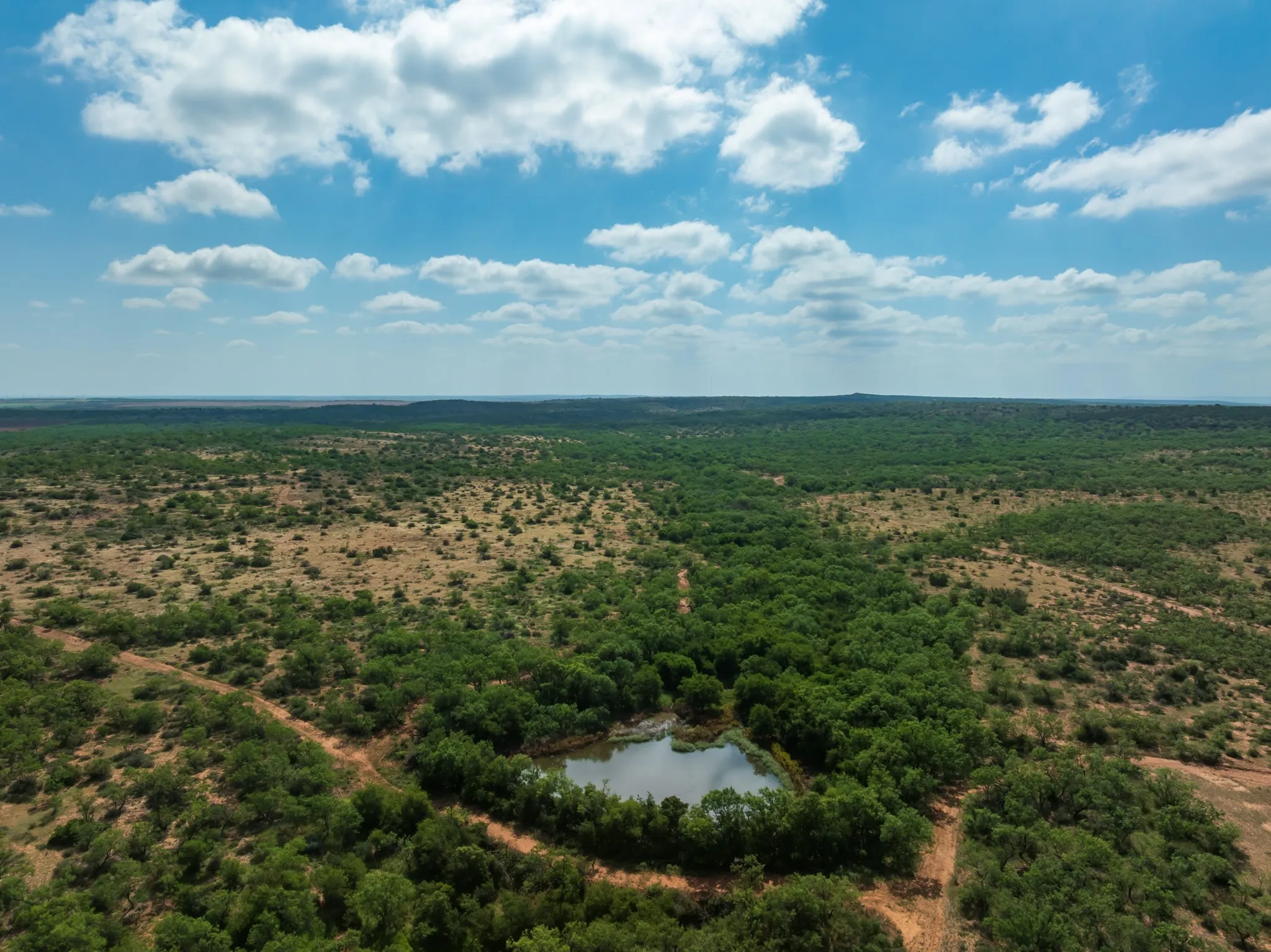 Ranch For Sale in Fisher County , 1 CR 441, Sweetwater, Texas 79556, 0, 0, Garage spaces, 0 Sqft, built in 0, mls#21386723, Real Estate Agent in Sweetwater, Homes For Sale in Fisher county, Homes For Sale in Sweetwater, Realtor in Sweetwater Texas, Real Estate Brokerage Independent Realty Texas, Luminita Cordes Realtor
