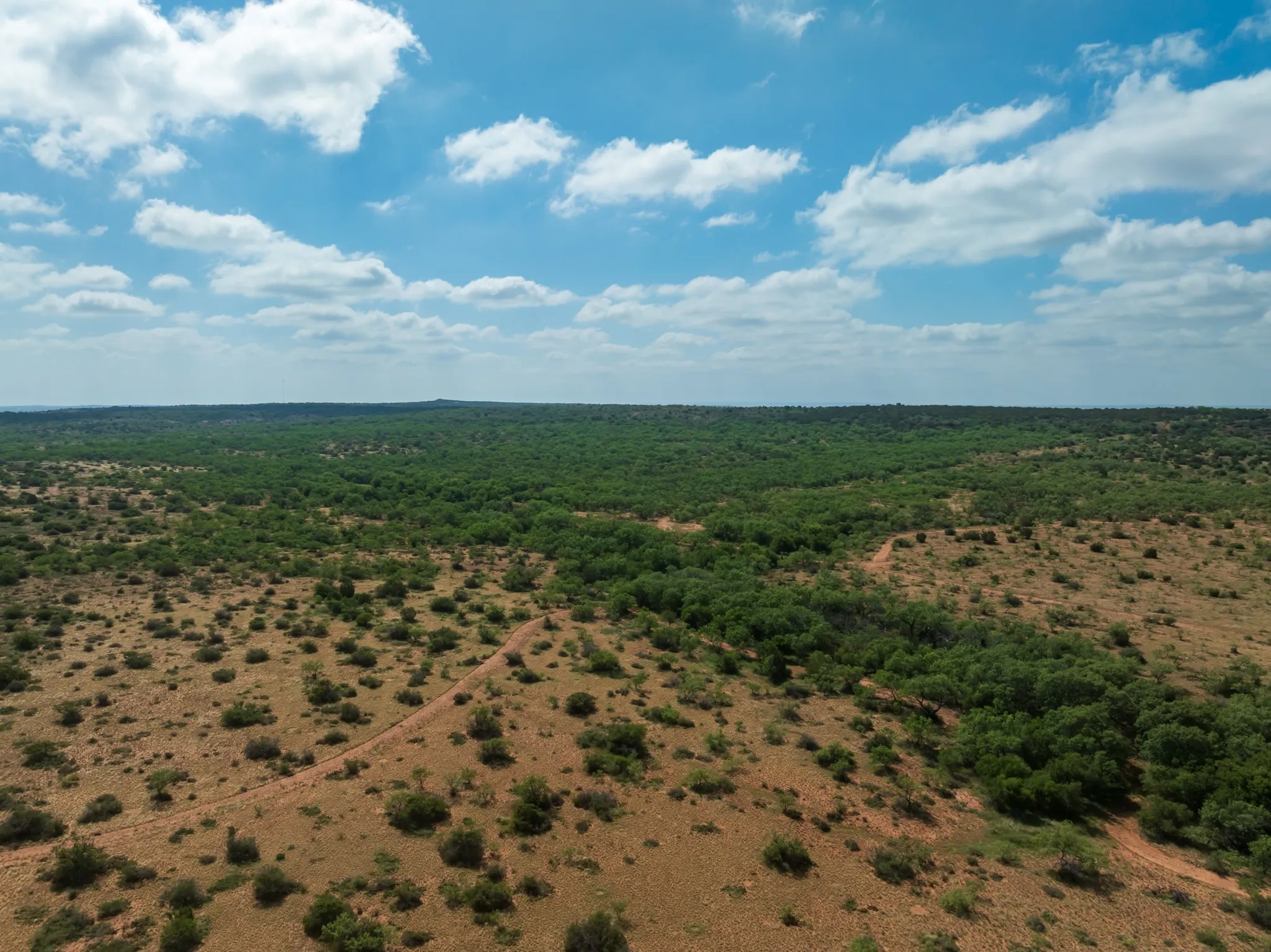 Ranch For Sale in Fisher County , 1 CR 441, Sweetwater, Texas 79556, 0, 0, Garage spaces, 0 Sqft, built in 0, mls#21386723, Real Estate Agent in Sweetwater, Homes For Sale in Fisher county, Homes For Sale in Sweetwater, Realtor in Sweetwater Texas, Real Estate Brokerage Independent Realty Texas, Luminita Cordes Realtor