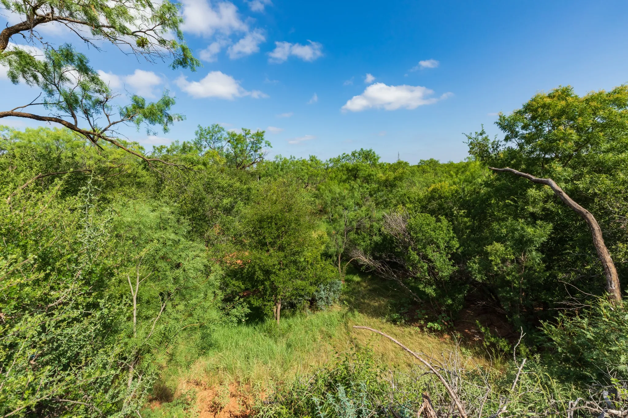 Ranch For Sale in Fisher County , 1 CR 441, Sweetwater, Texas 79556, 0, 0, Garage spaces, 0 Sqft, built in 0, mls#21386723, Real Estate Agent in Sweetwater, Homes For Sale in Fisher county, Homes For Sale in Sweetwater, Realtor in Sweetwater Texas, Real Estate Brokerage Independent Realty Texas, Luminita Cordes Realtor
