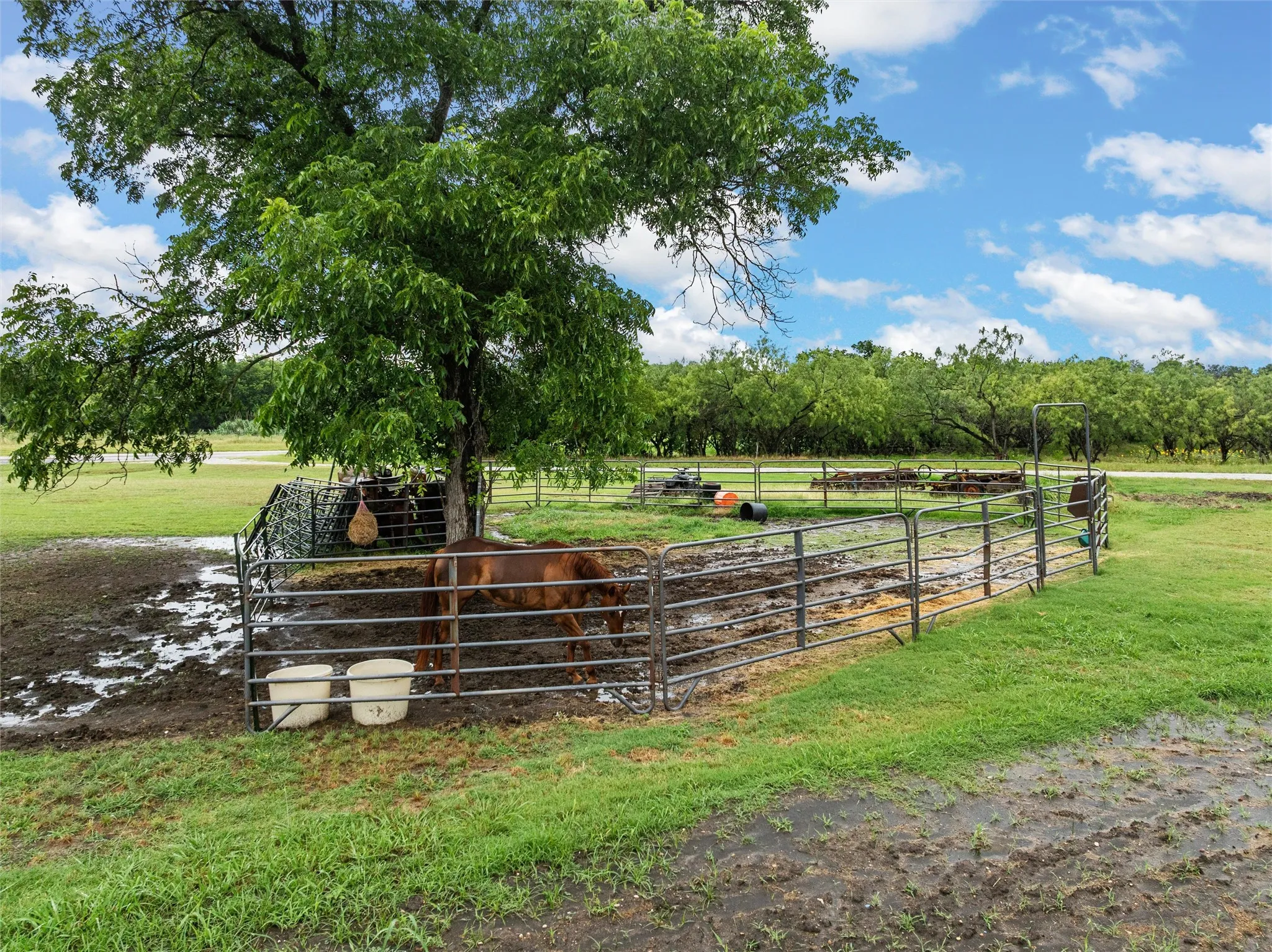 Single Family Residence For Rent in Hill County , 2851 Fm 339, Mount Calm, Texas 76673, 3 Bedroom, 1 Bathroom, 1 Garage spaces, 1,334 Sqft, built in 1991, mls#21385025, Real Estate Agent in Mount Calm, Homes For Rent in Hill county, Homes For Rent in Mount Calm, Realtor in Mount Calm Texas, Real Estate Brokerage Independent Realty Texas, Luminita Cordes Realtor